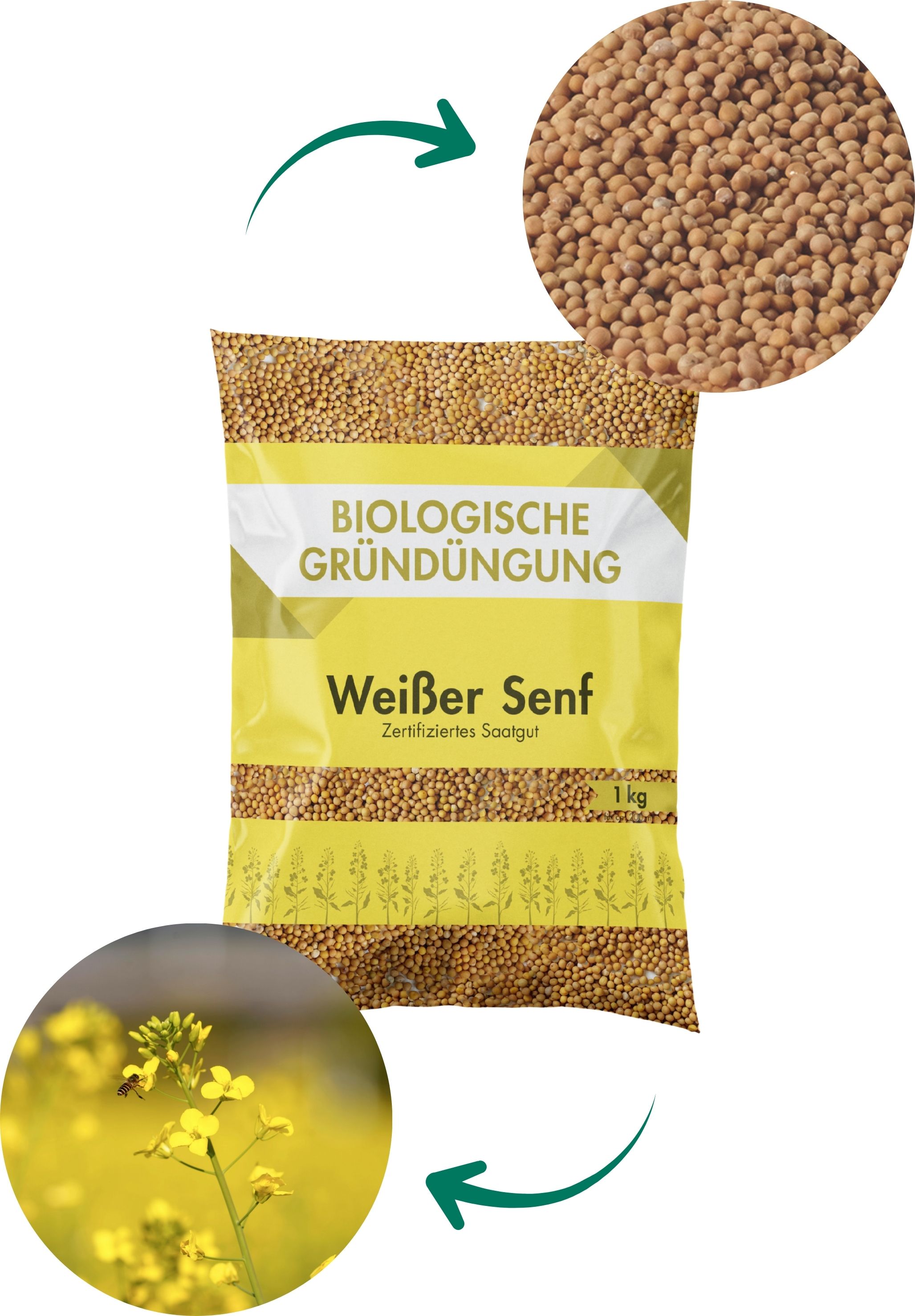 Weißer Senf (Gründüngung), 1 kg