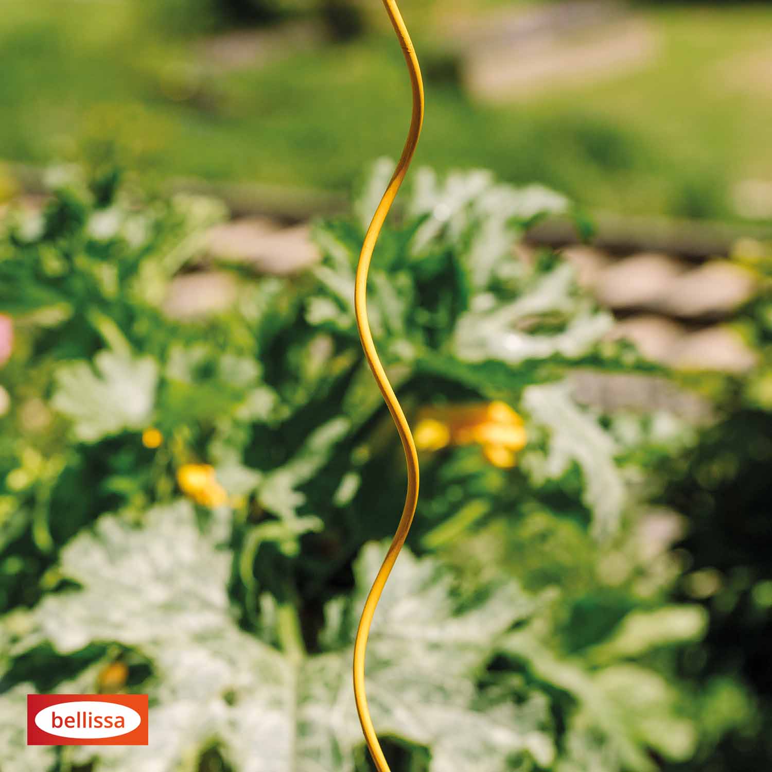Bellissa Tomatenspirale Colorata 170