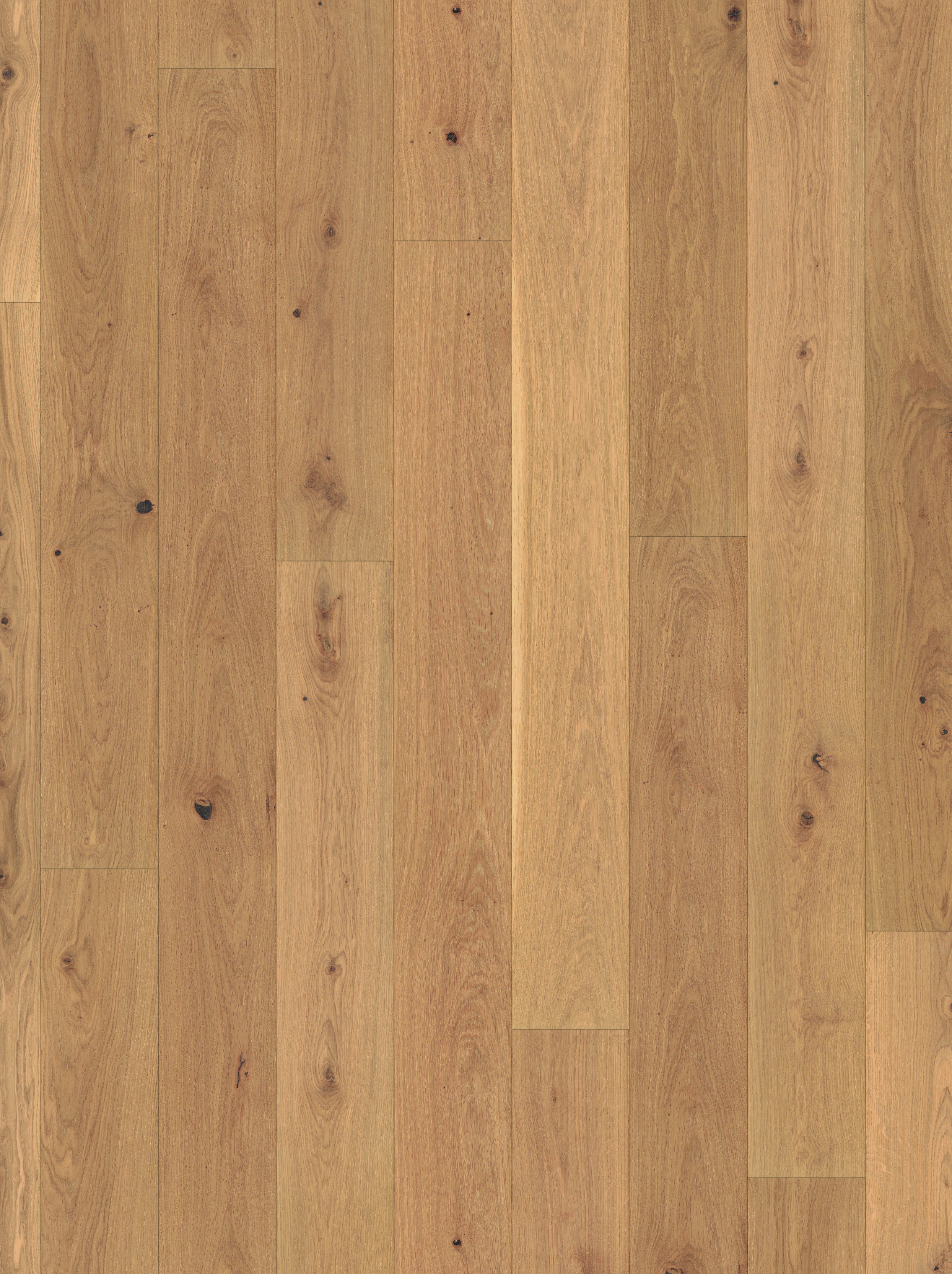 Parador Sonder Parkett Basic 11-5 Rustikal Eiche leicht weiß matt lackiert Landhausdiele 4-seitige Minifase