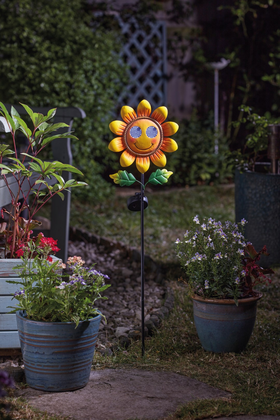 Smart Garden Smilin Sonnenblume