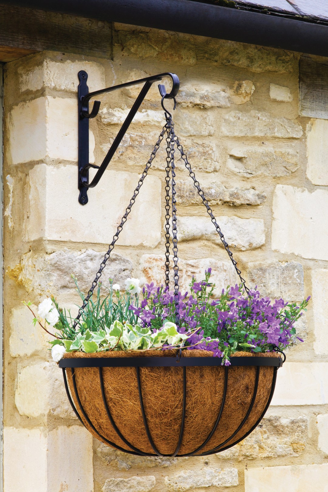 Smart Garden Blumenampel Saxon, 40,6 cm