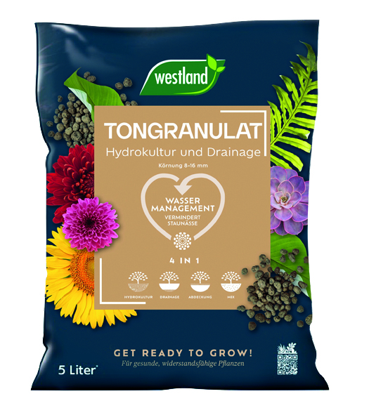 Westland Tongranulat, 5L Westland Tongranulat, 5L