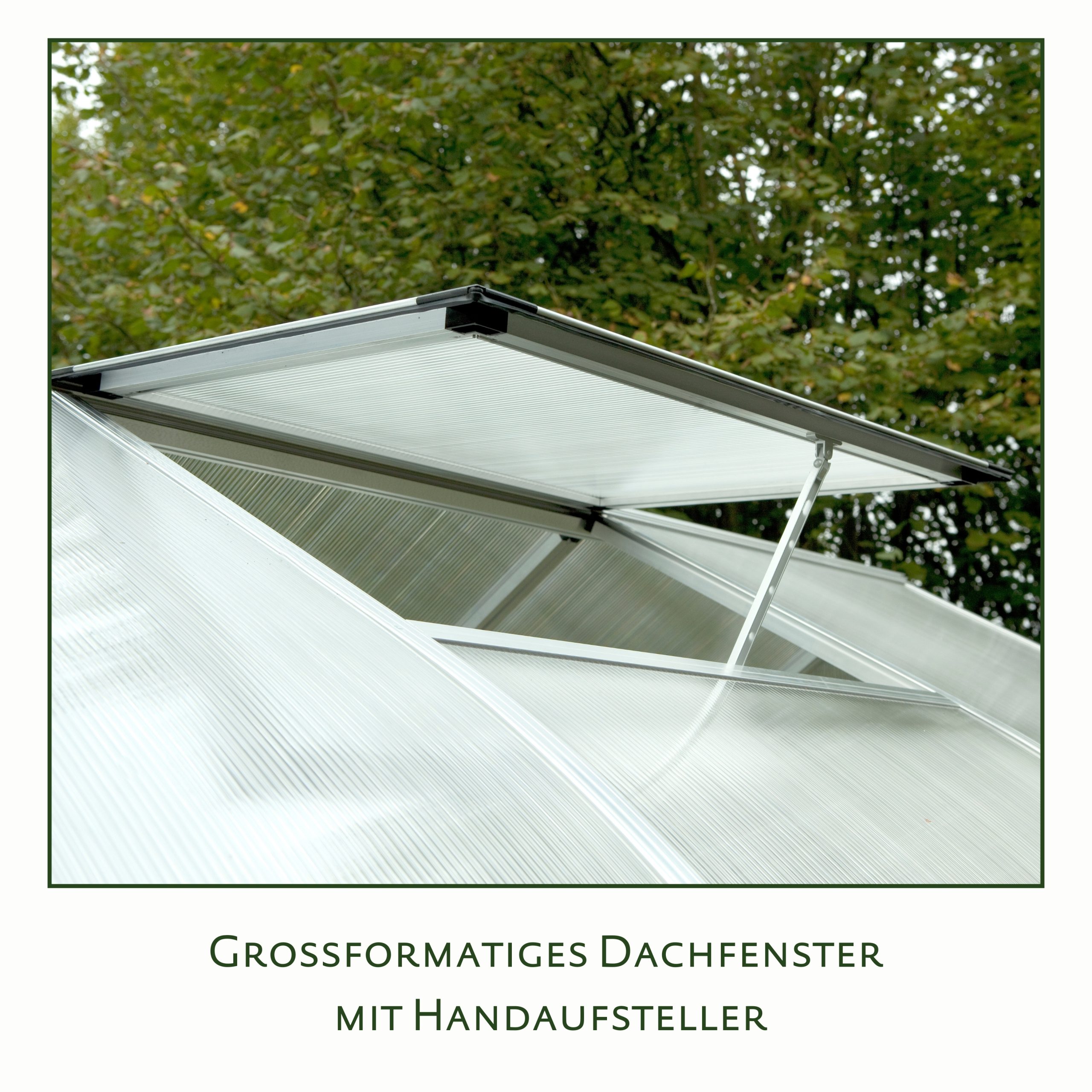 KGT Gewächshaus Rhodo III, pressblank