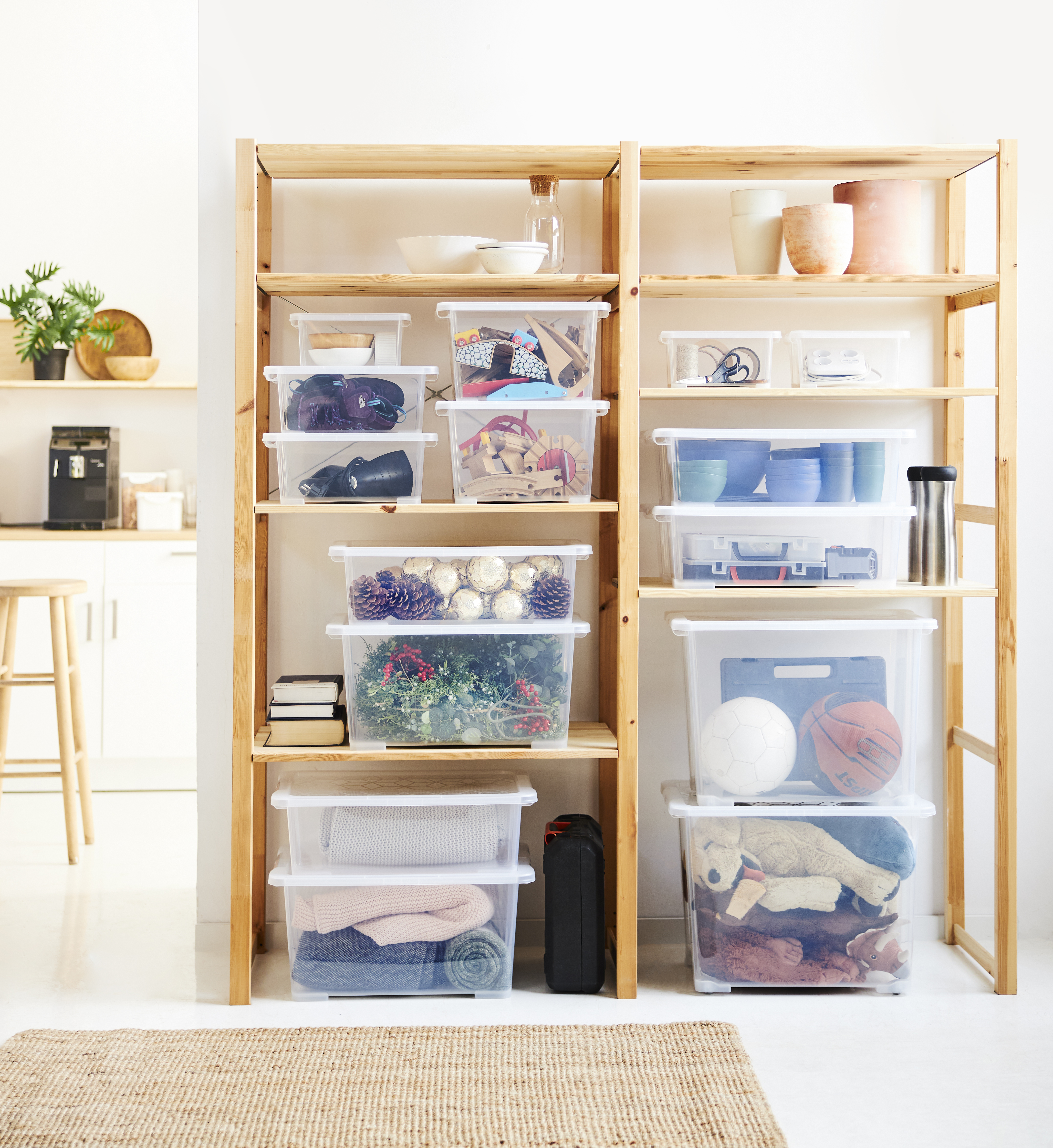 Rotho Box Evo Easy 1,2 l