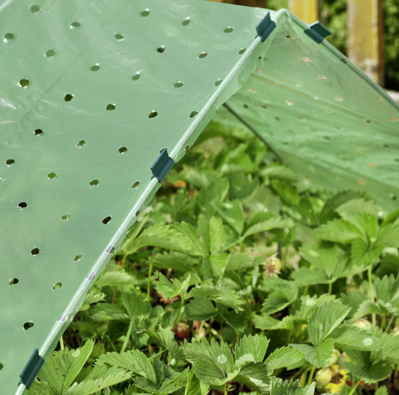 Windhager Frühbeet-Folie Strong, 10 x 1,5 m, 37 m² Windhager Frühbeet-Folie Strong, 10 x 1,5 m, 37 m²