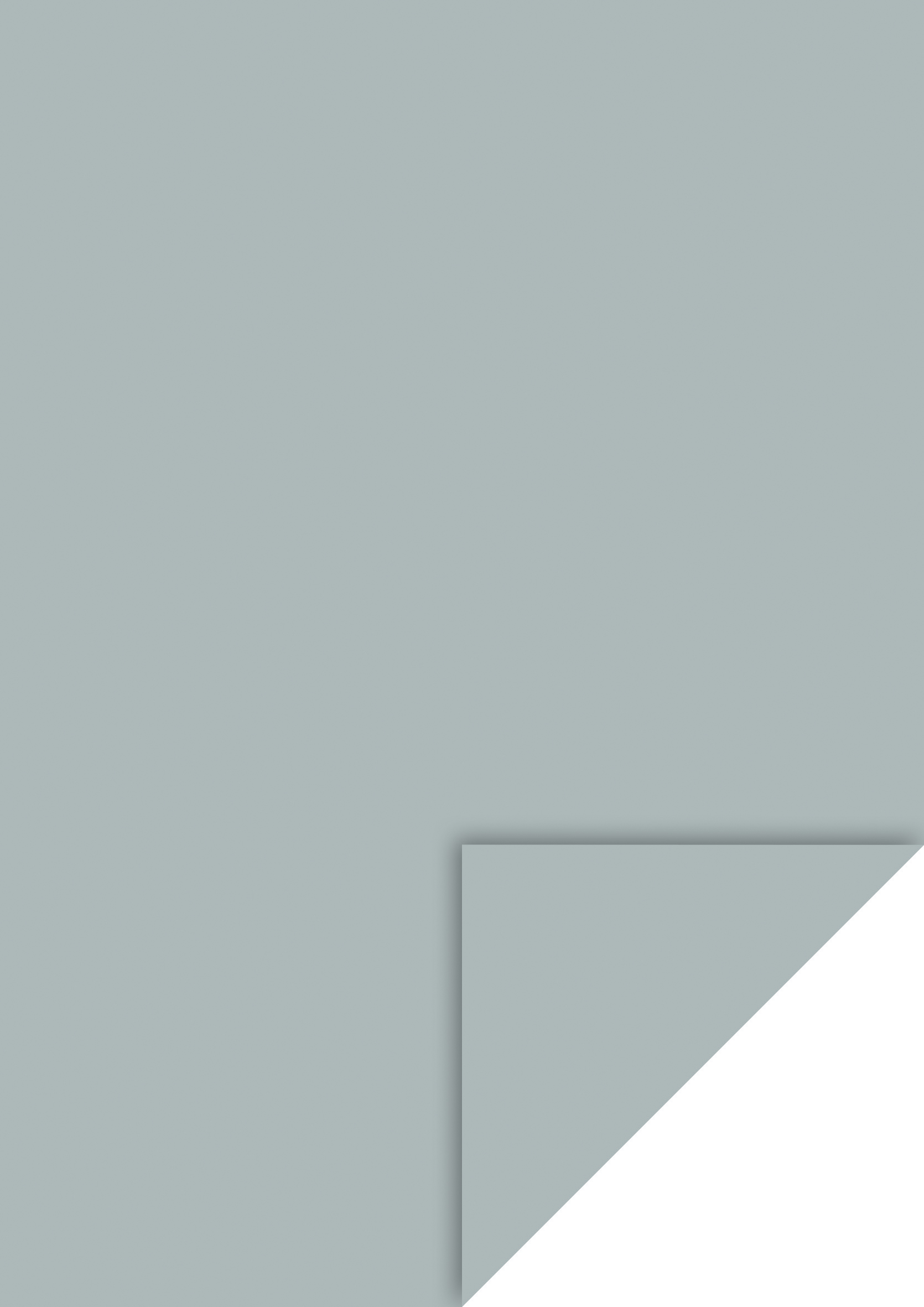 Heyda Fotokarton A4, Hellgrau, mit EAN-Aufkleber Heyda Fotokarton A4, Hellgrau, mit EAN-Aufkleber