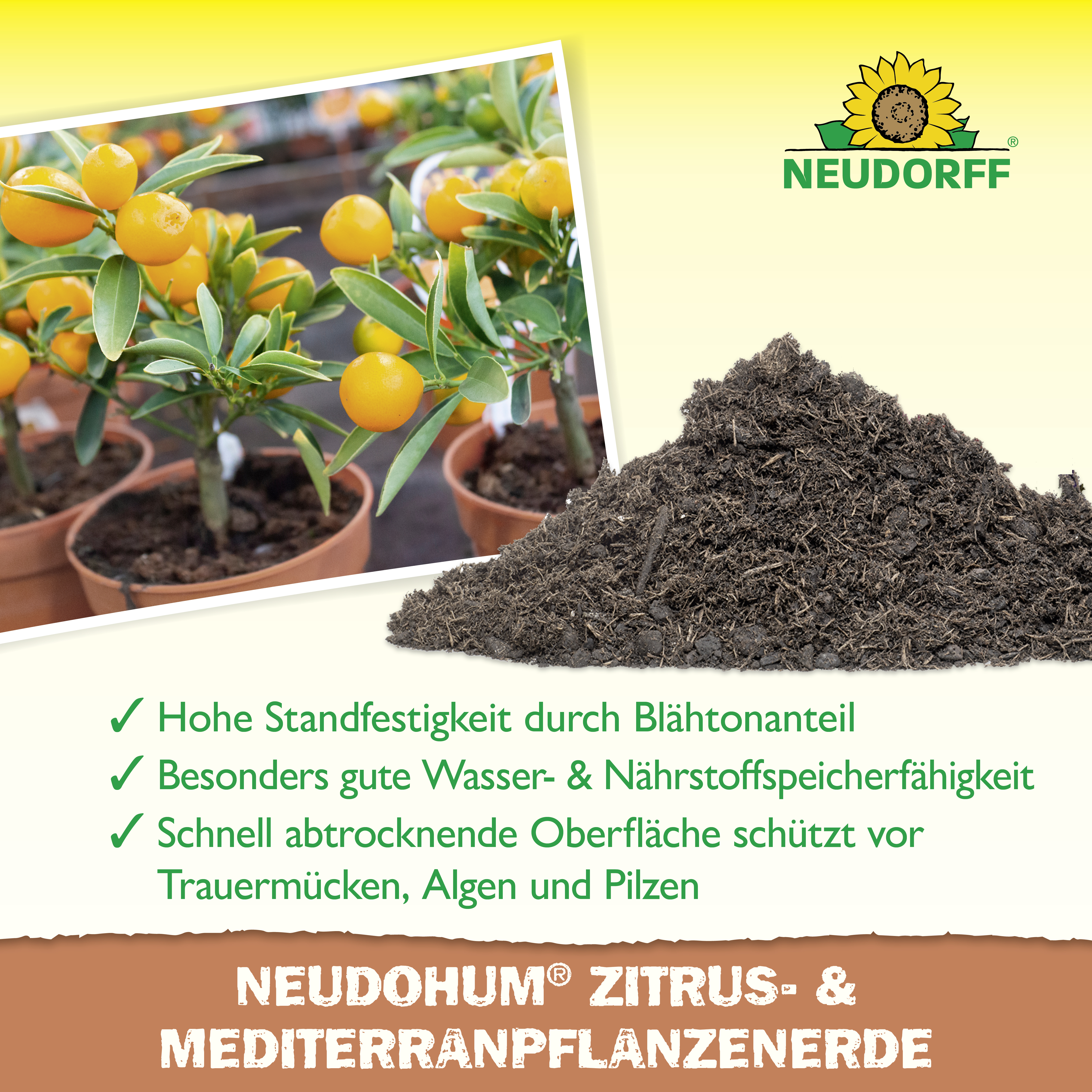 Neudorff NeudoHum Zitrus & MediterranpflanzenErde