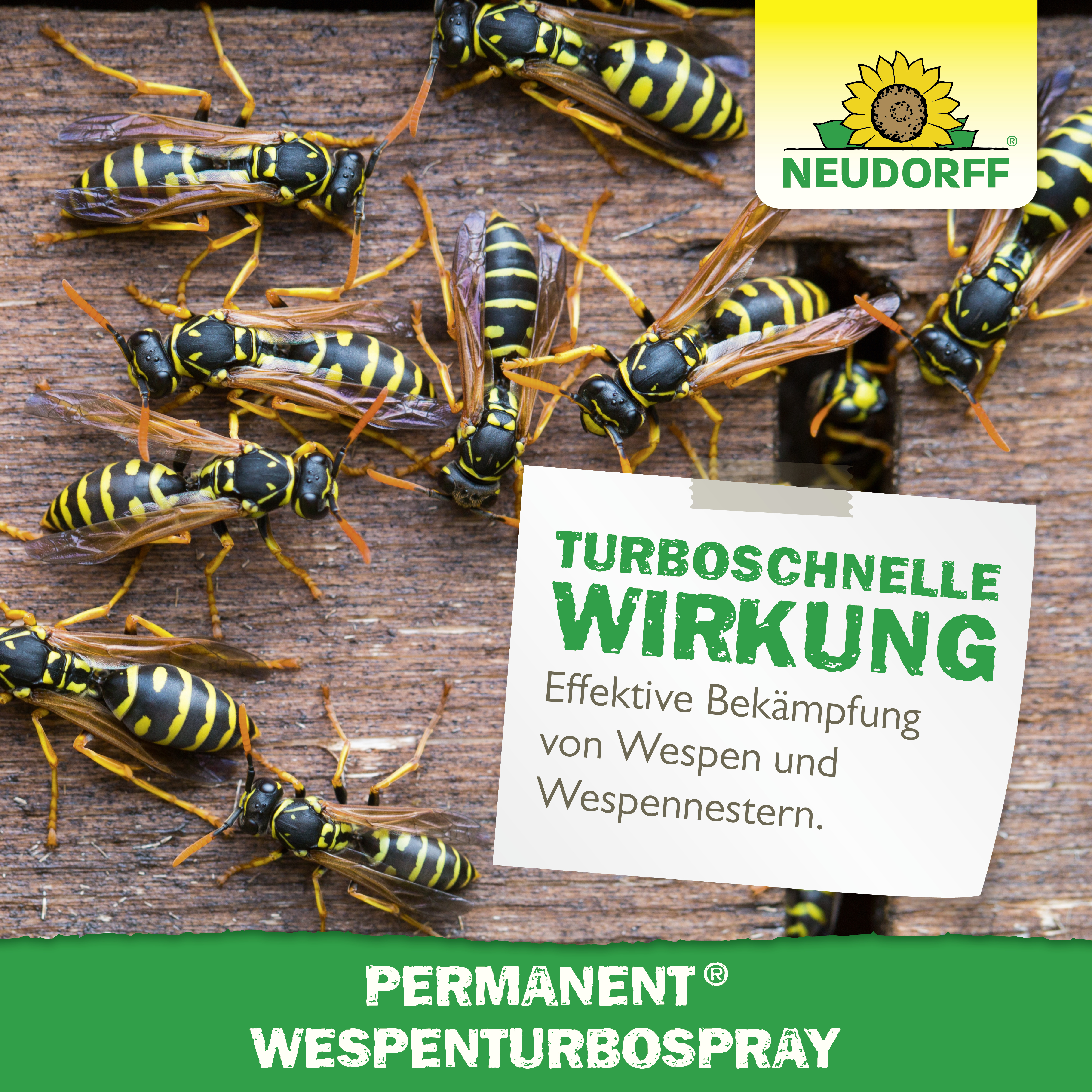 Neudorff Permanent WespenTURBOSpray