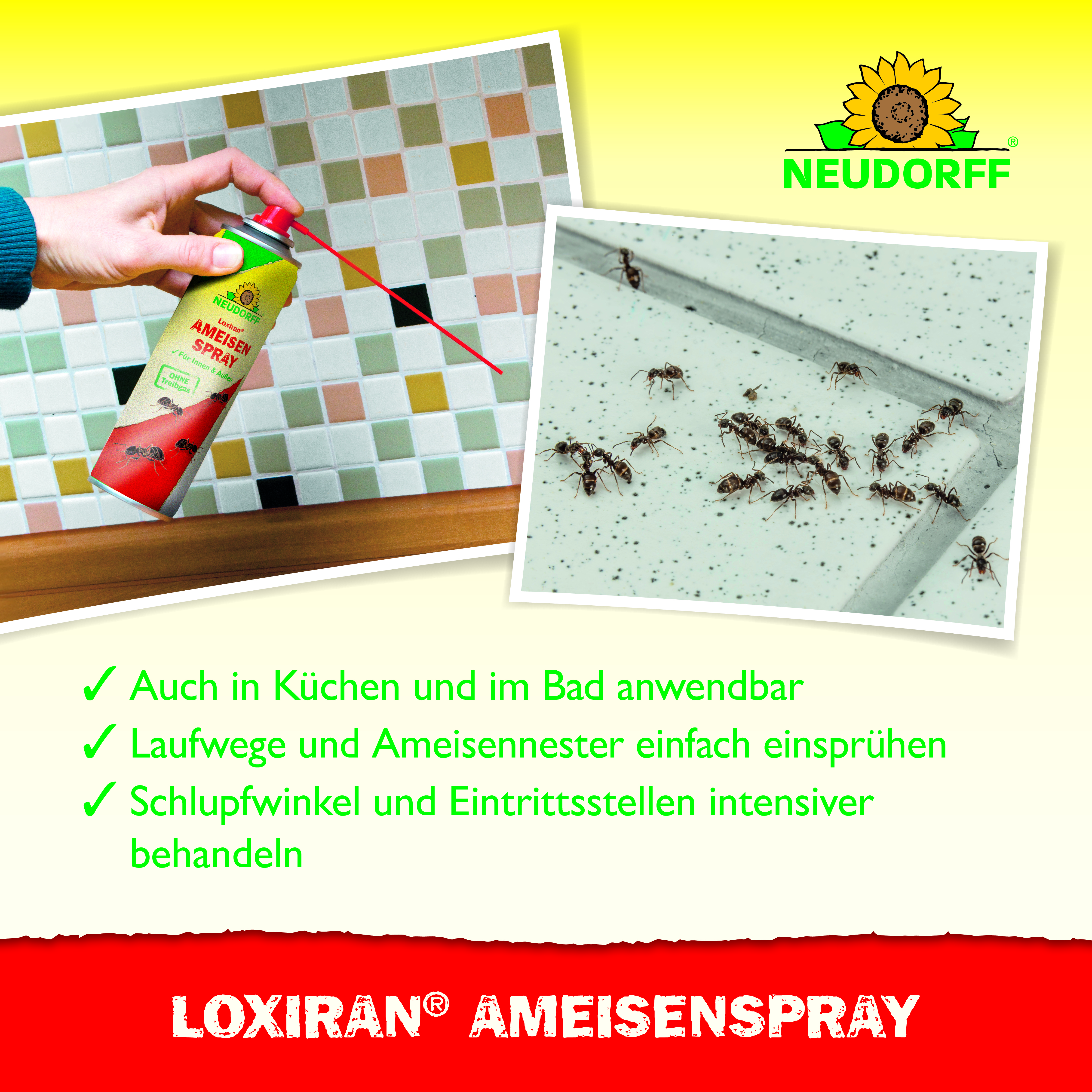 Neudorff Loxiran Ameisenspray, 500 ml