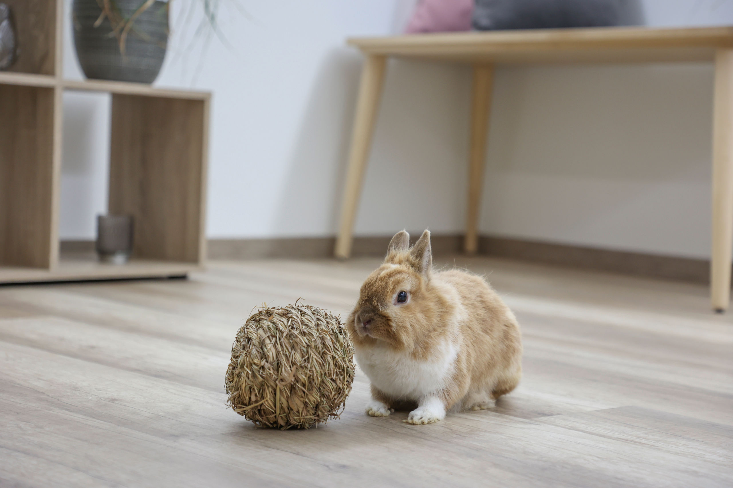 Kerbl Grasball, Ø 13 cm 
