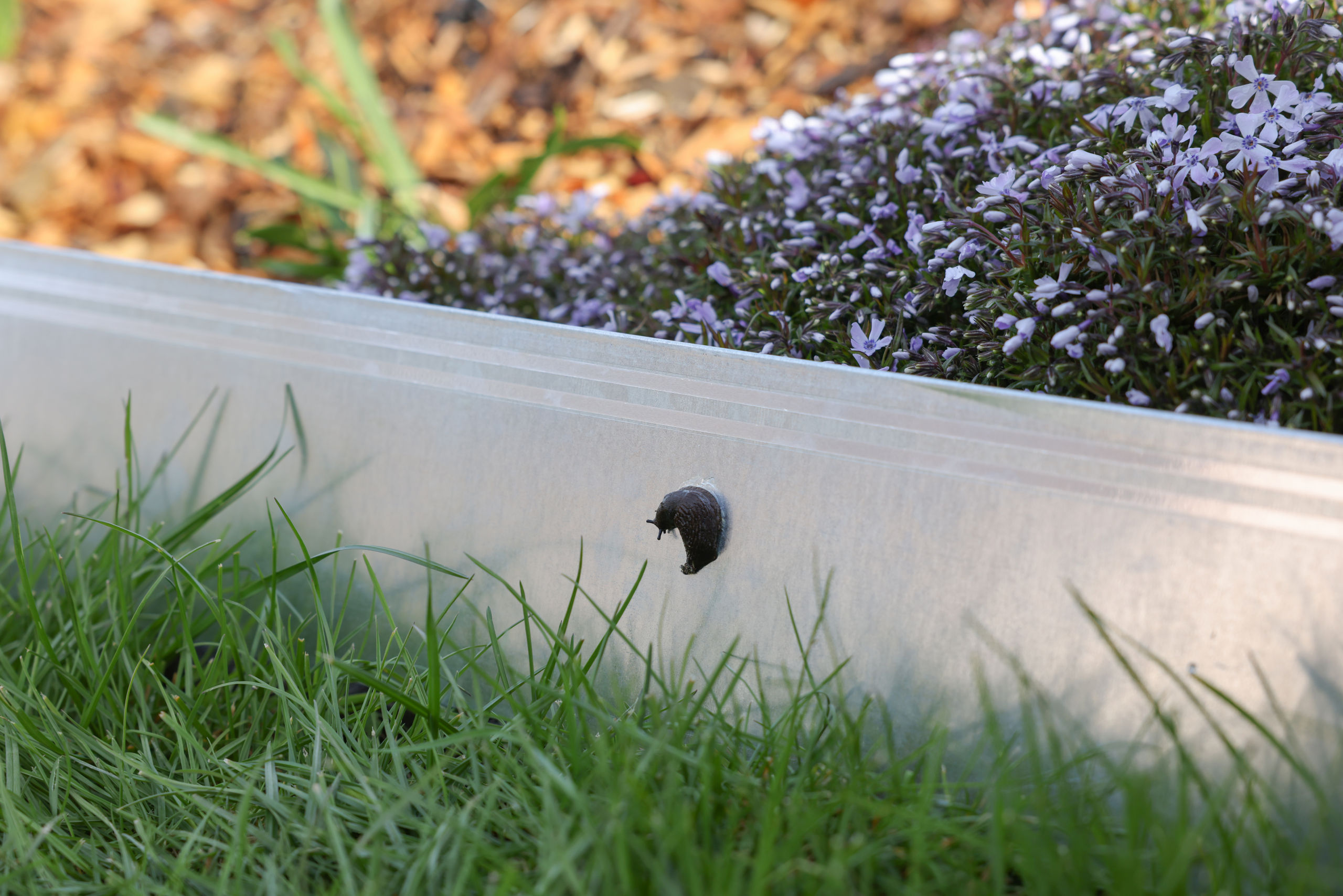 Kerbl SnailStop Zaunband 10 m, elektrischer Schneckenzaun