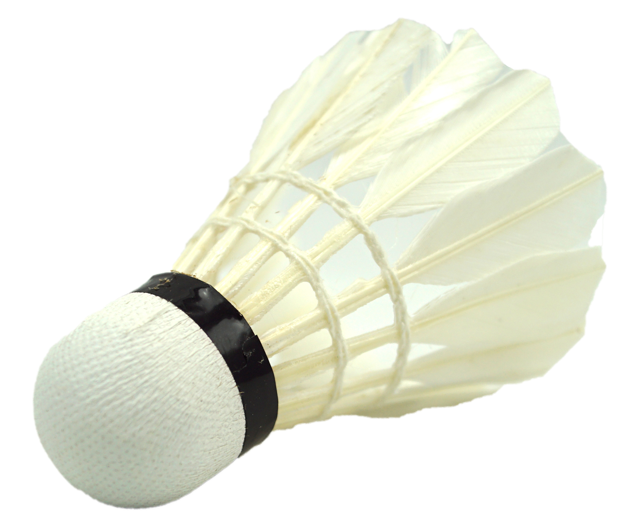 41202 Best Turnierfederbälle