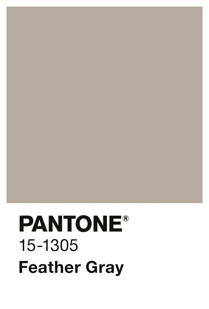 Alpina PANTONE® Feather Gray, 2,5 Liter