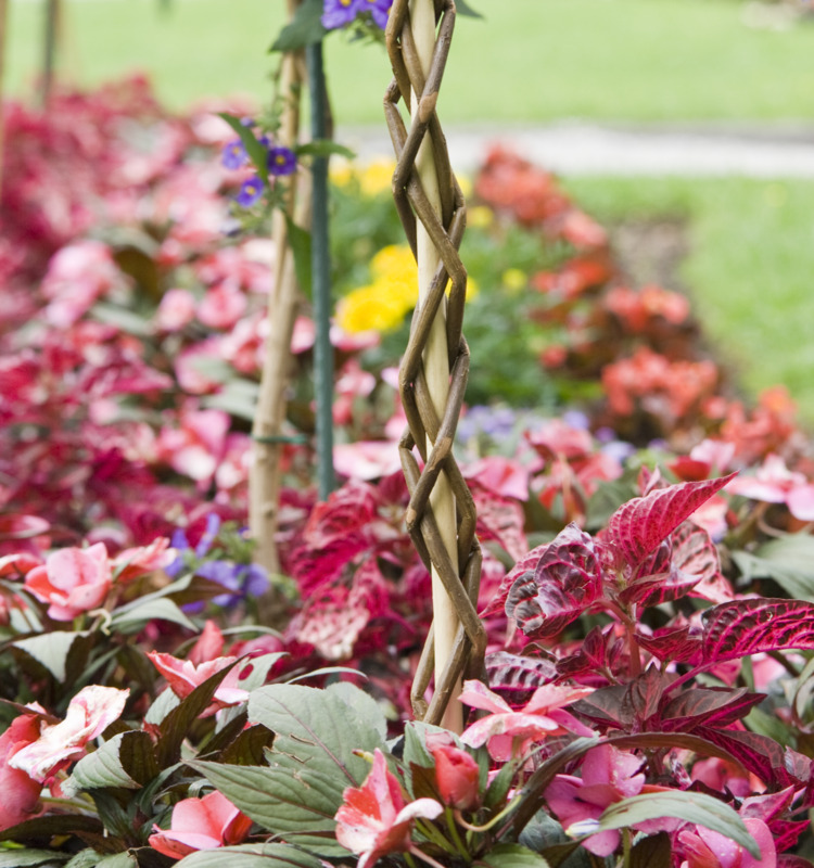 Windhager Pflanzstab Sintra, 130 cm, 2 cm Windhager Pflanzstab Sintra, 130 cm, 2 cm