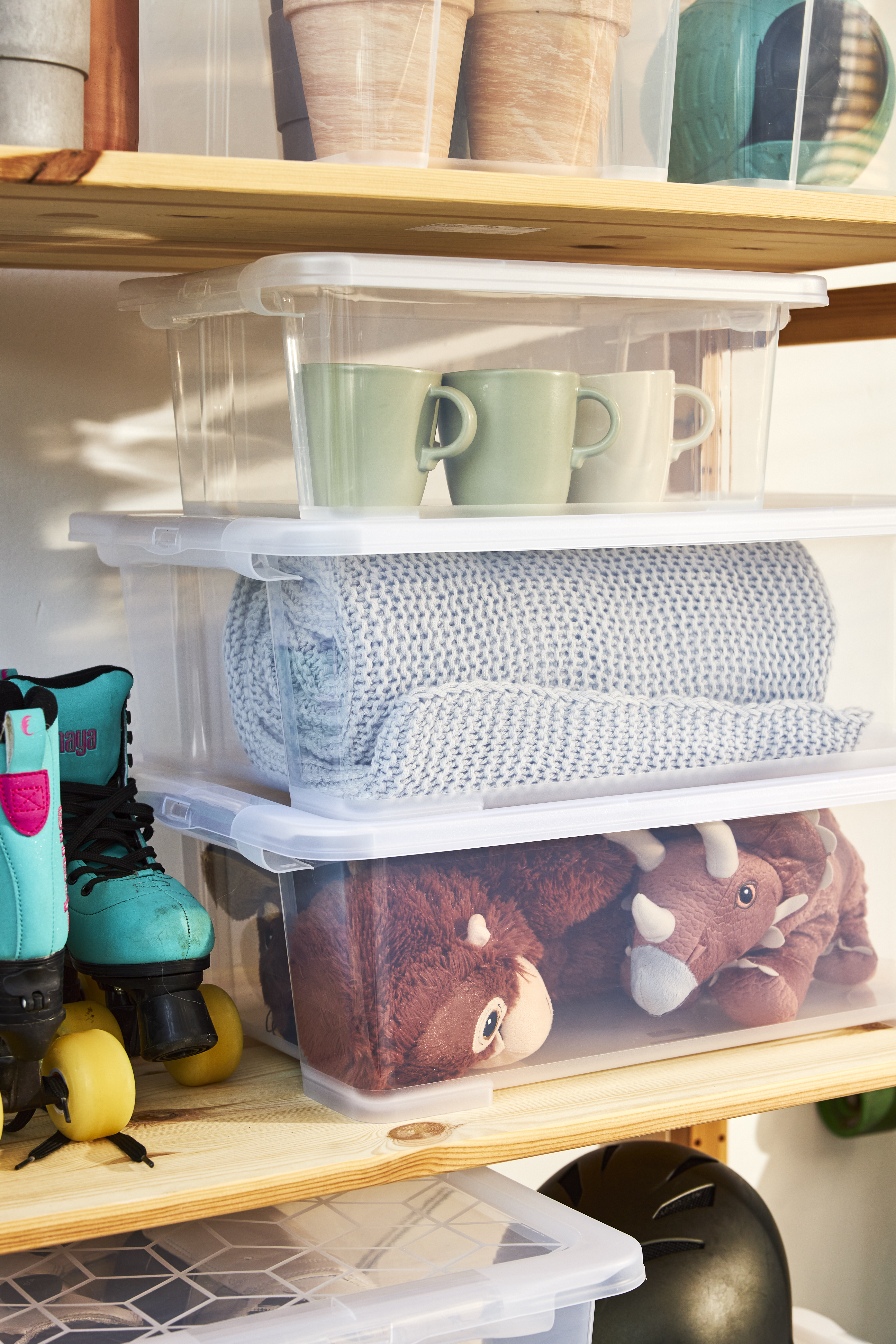 Rotho Box Evo Easy11 l