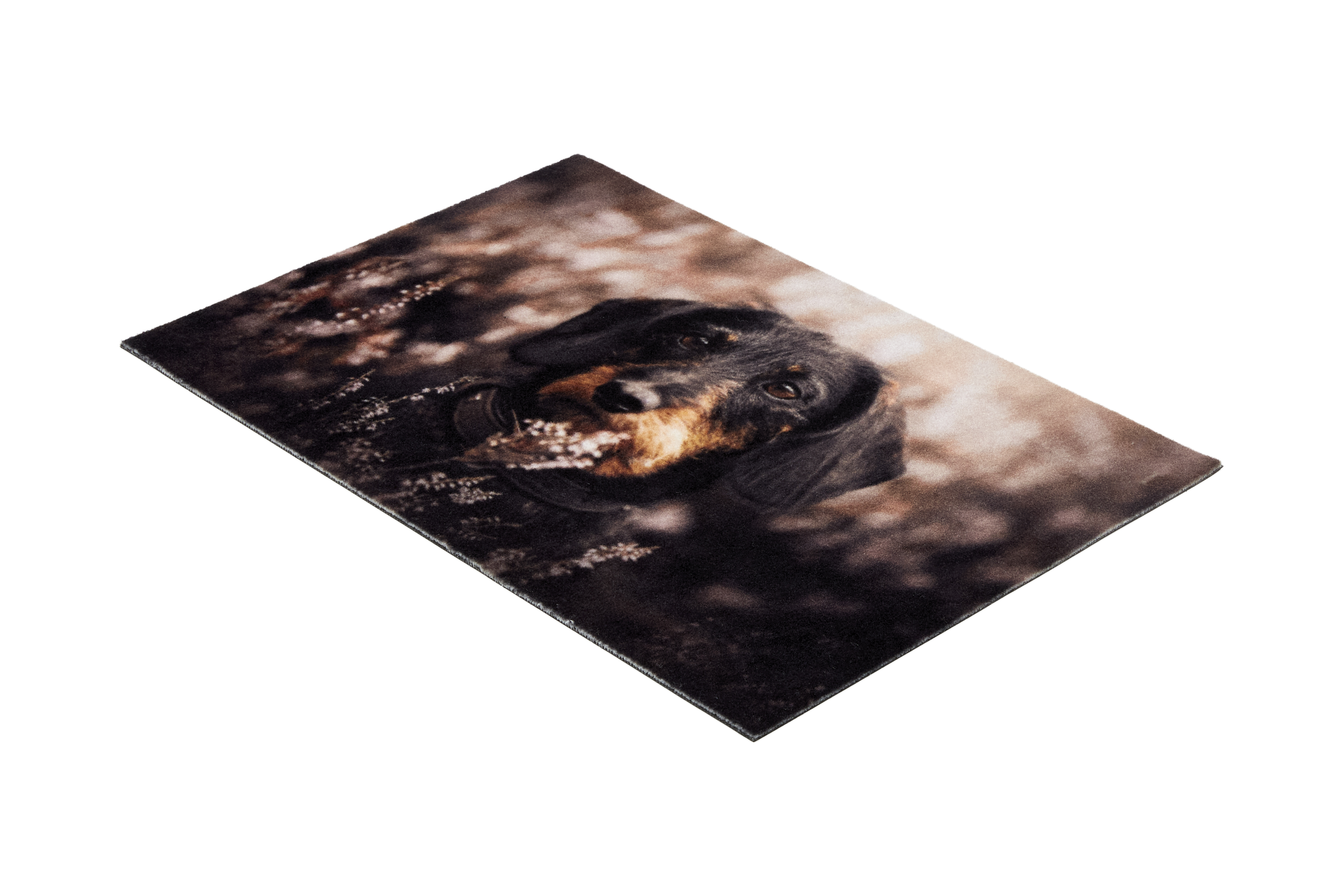 Astra Deco Print ca. 40x60cm D.106 C.999 Dackel