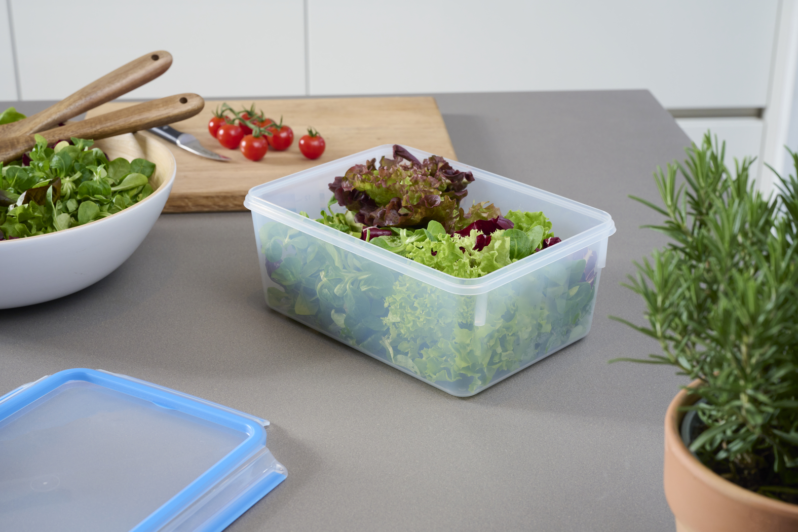 EMSA Clip & Close Frischhaltedose 3,7 L, rechteckig EMSA Clip & Close Frischhaltedose 3,7 L, rechteckig