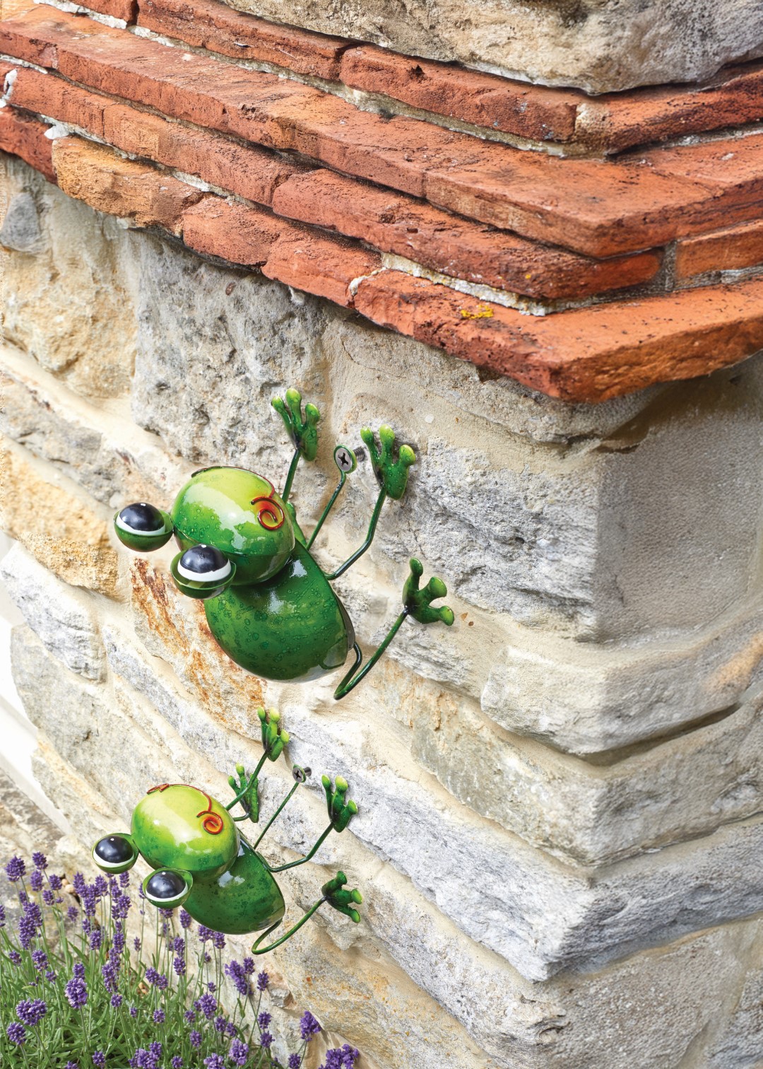 Smart Garden Aufhänger Frosch Medium