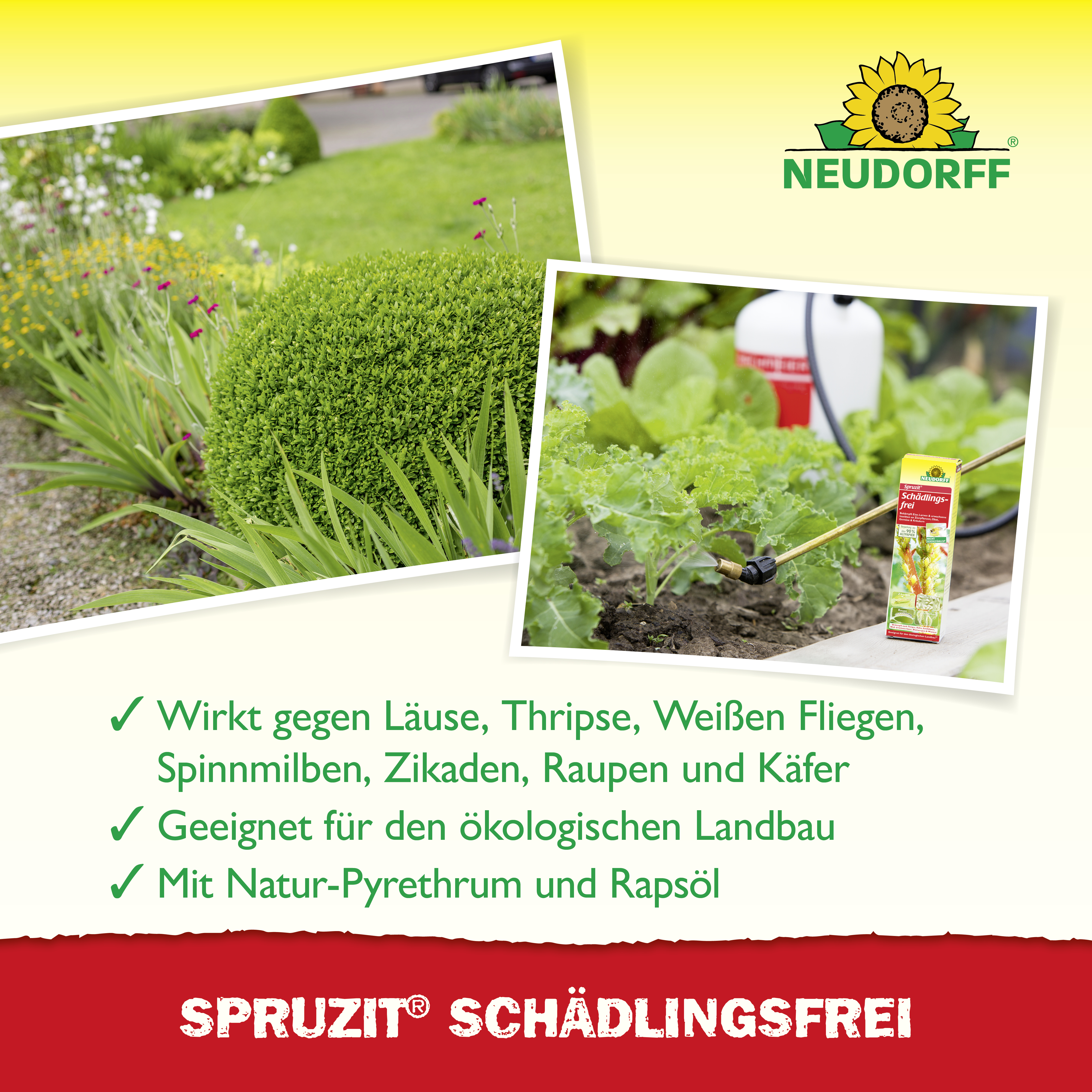 Neudorff Spruzit Schädlingsfrei, 100 ml