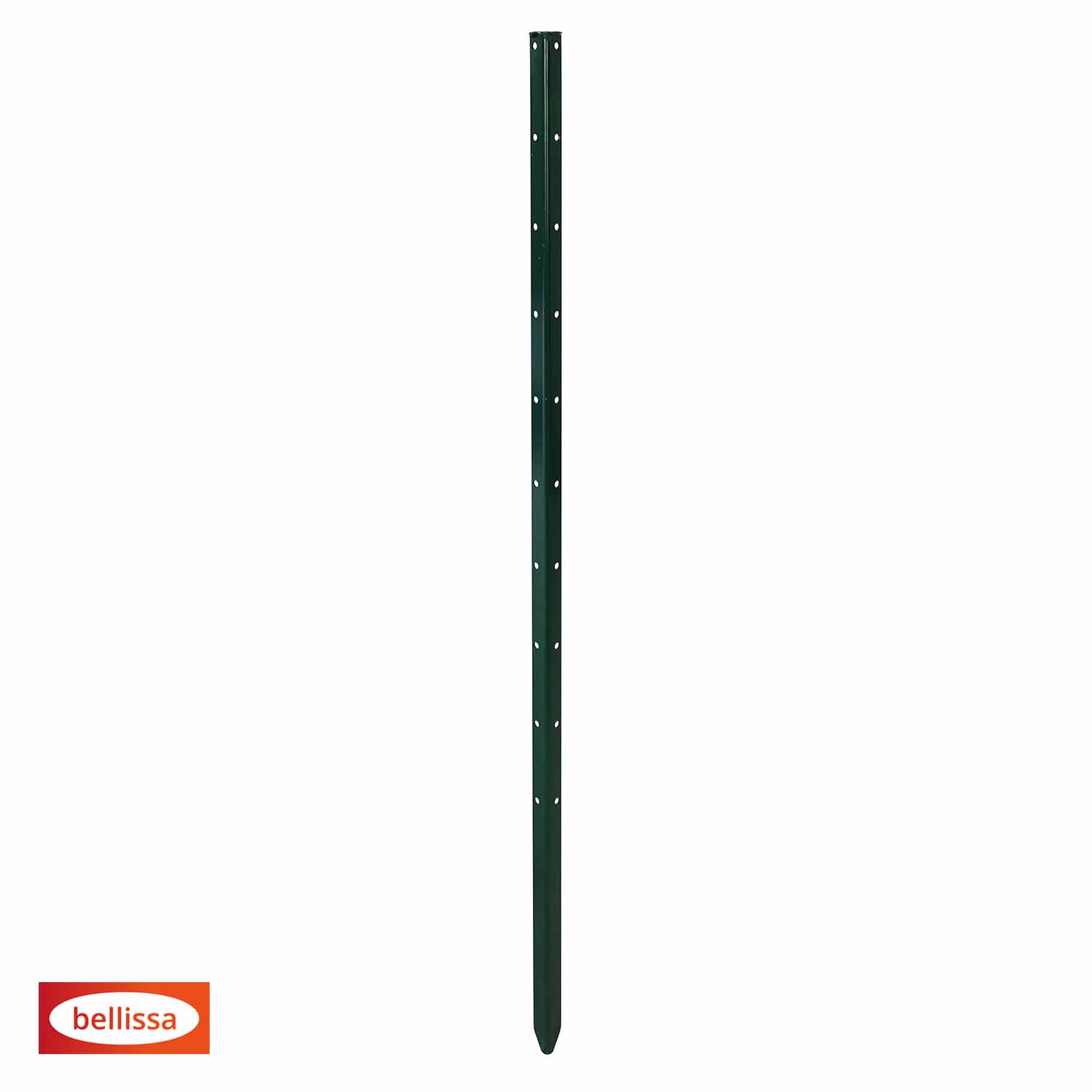 Bellissa Pflanzstab Timo 100 G