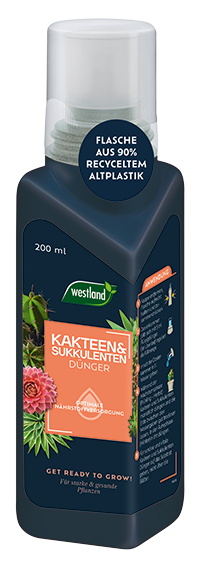 Westland Kakteen & Sukkulenten
 Dünger, 200 ml