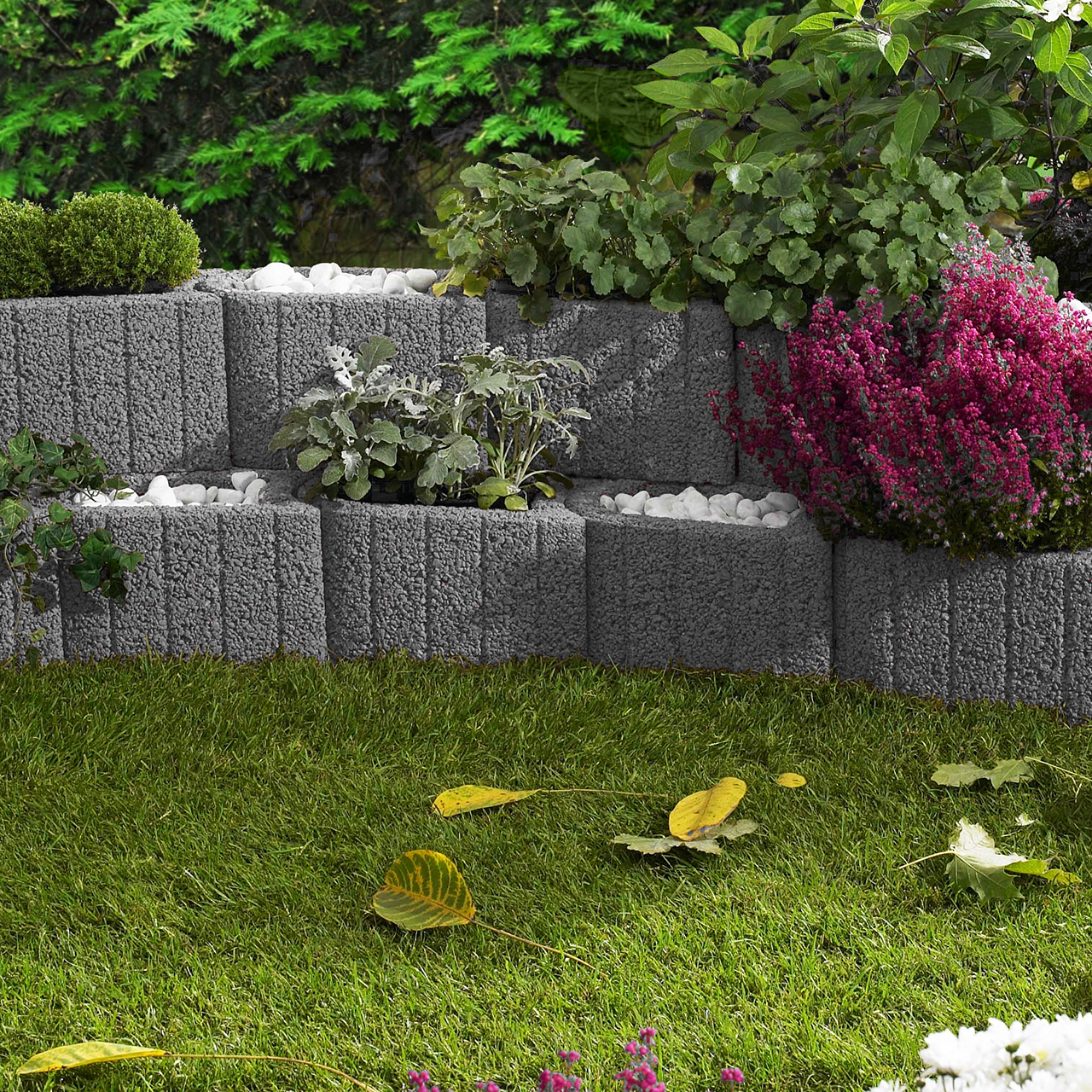 282048_Szene1 Kann Minipflanzstein Plus