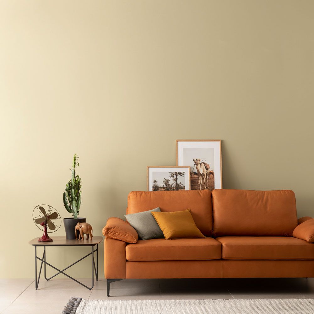 Schöner Wohnen Designfarbe, verträumtes wüstengelb, 1L Schöner Wohnen Designfarbe, verträumtes wüstengelb, 1L