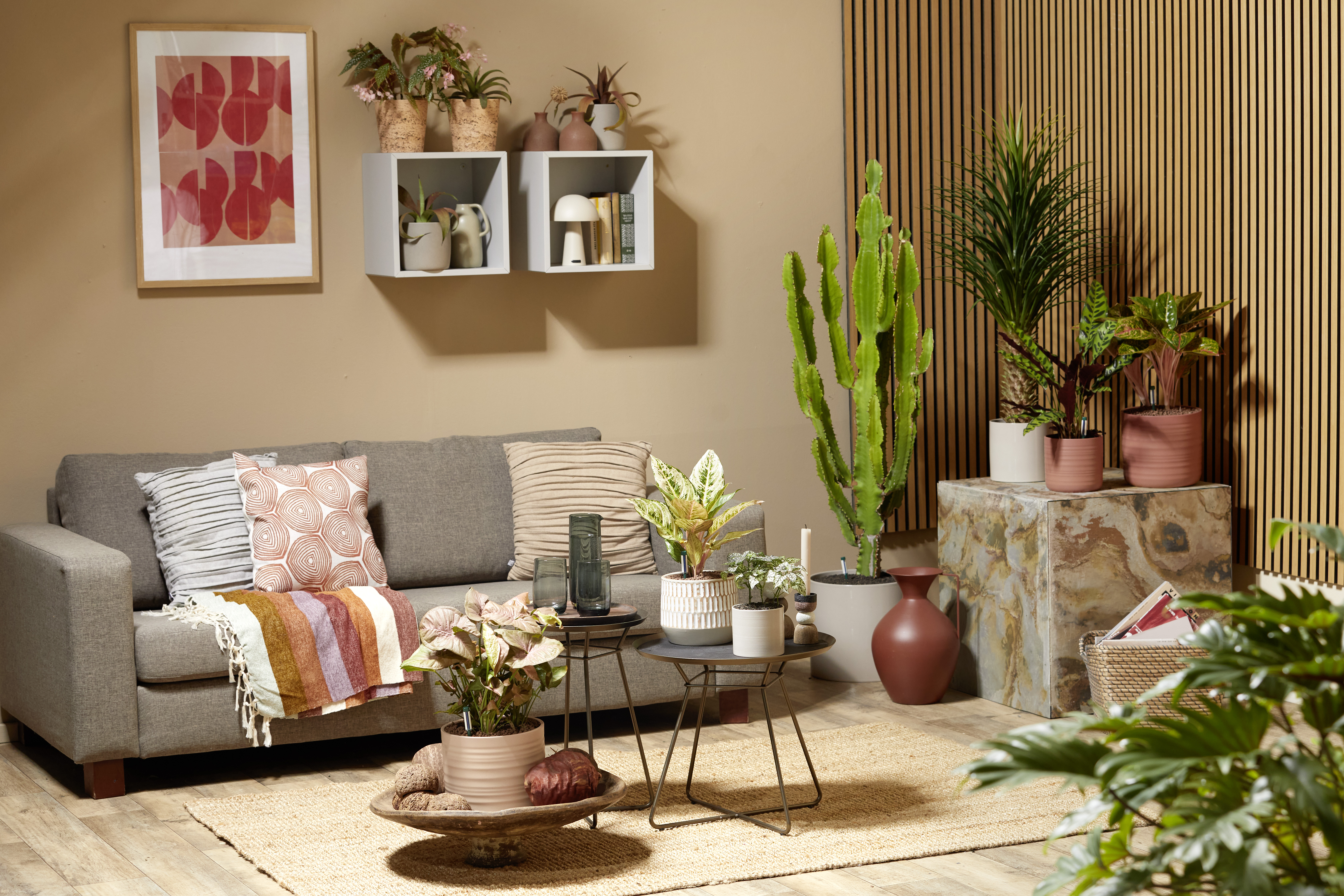 Seramis Topper, Espresso, 1 L