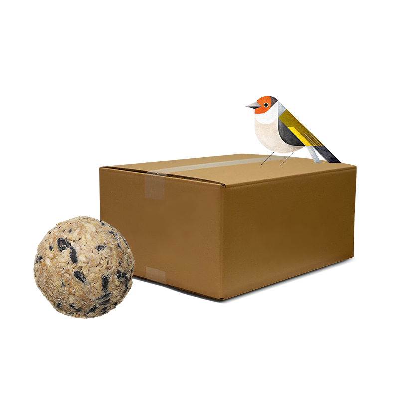 Donath Energie-Knödel klassisch, ohne Netz, Maxi-Box 50 x 100 g