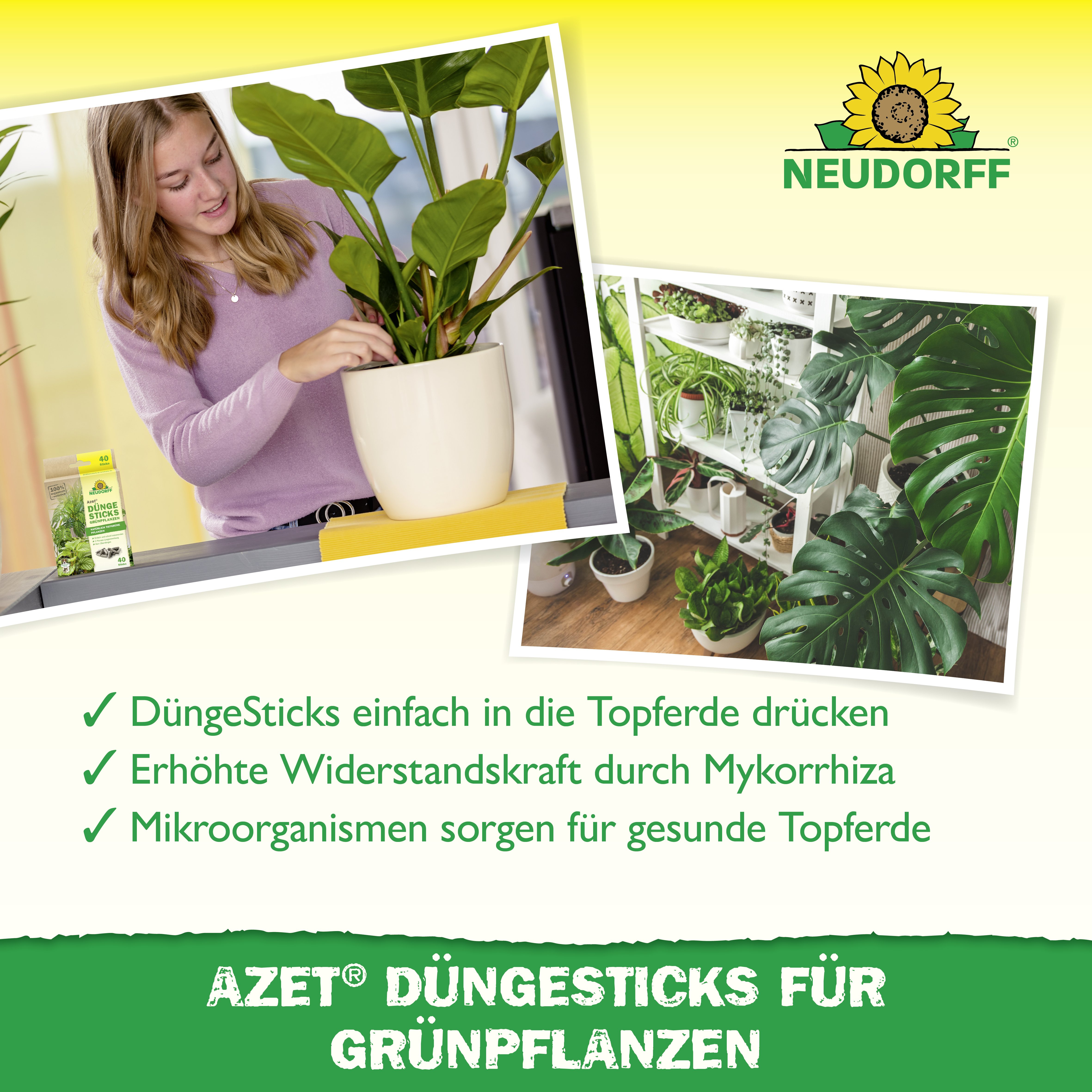 Neudorff Azet DüngeSticks für Grünpflanzen, 40 Stück