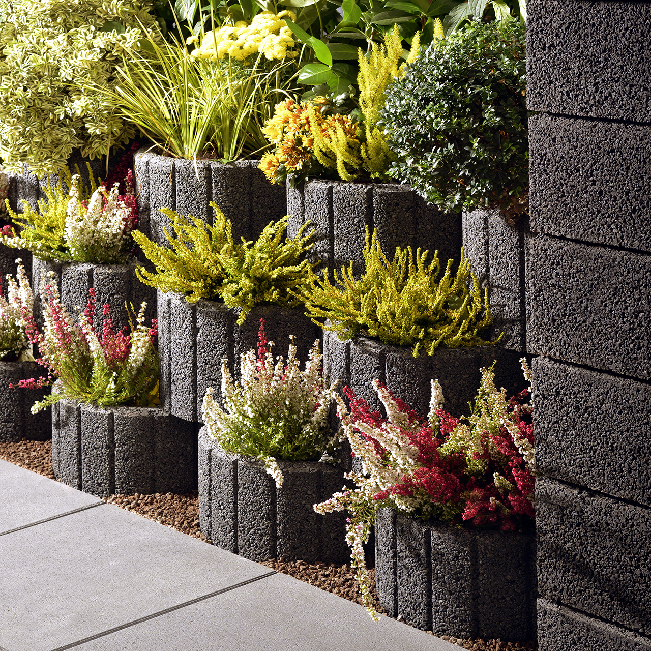 255673_Szene1 Kann Pflanzring groß