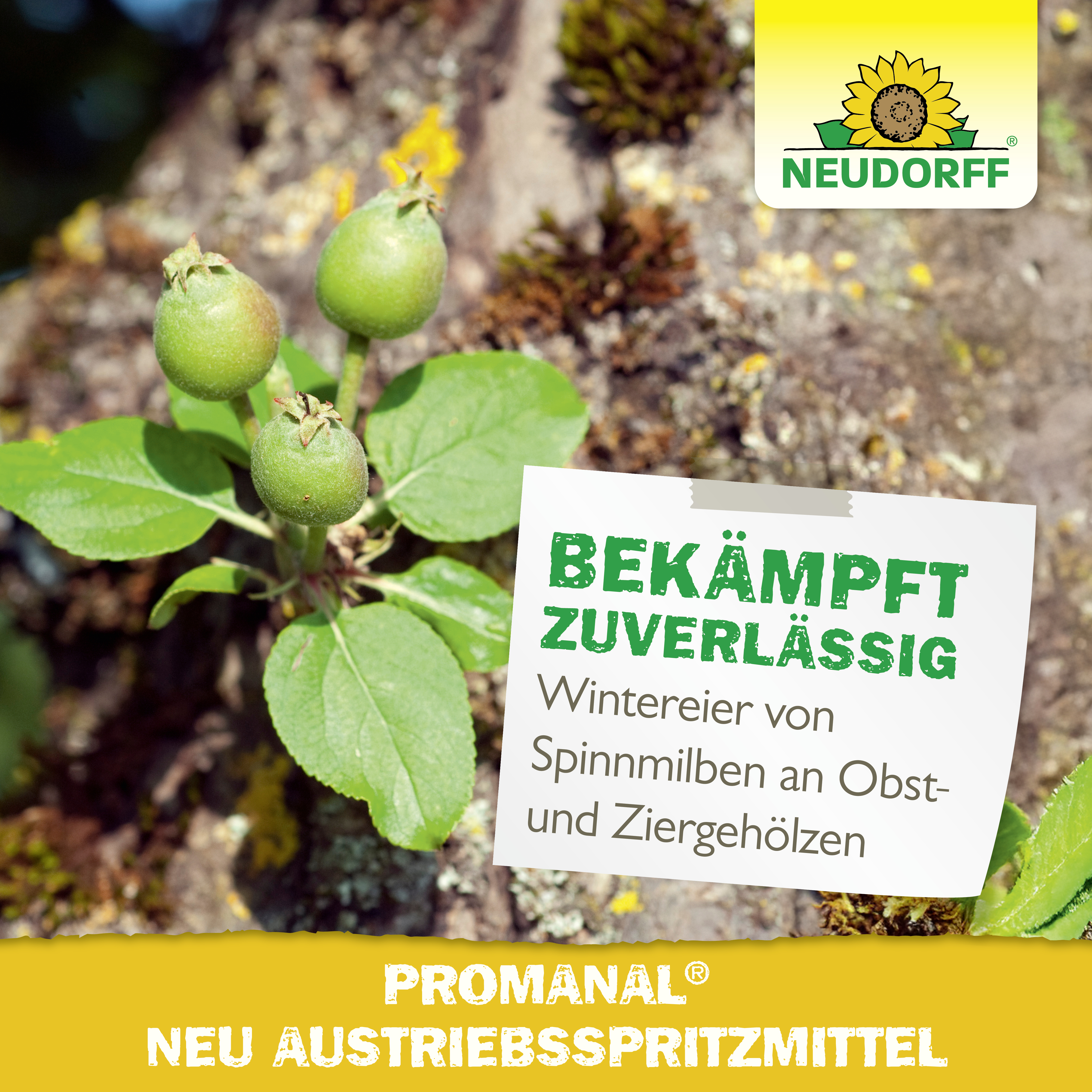 Neudorff Promanal Neu Austriebsspritzmittel, 500 ml