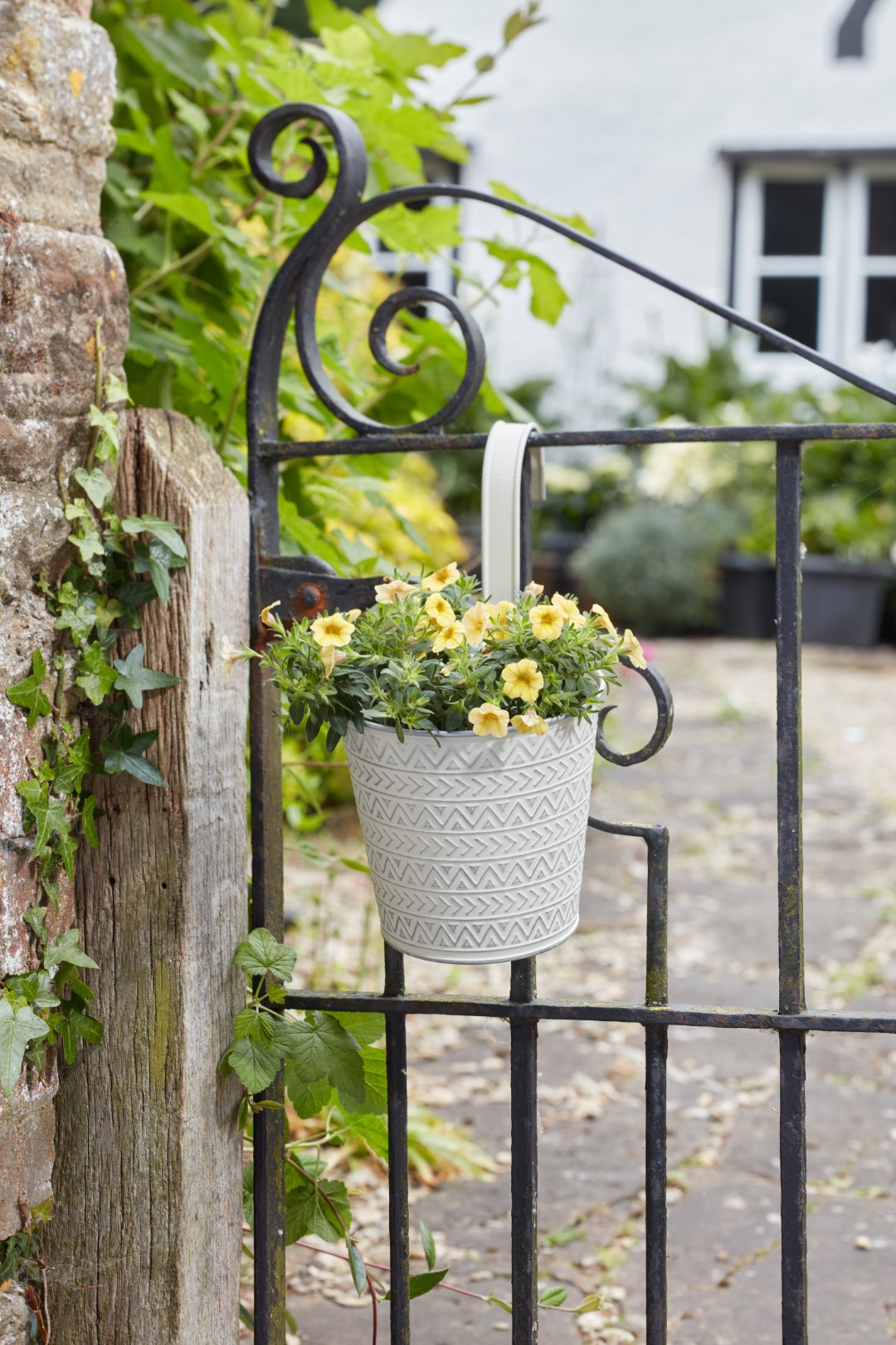 Smart Garden Blumentopf zum Aufhängen, azteke