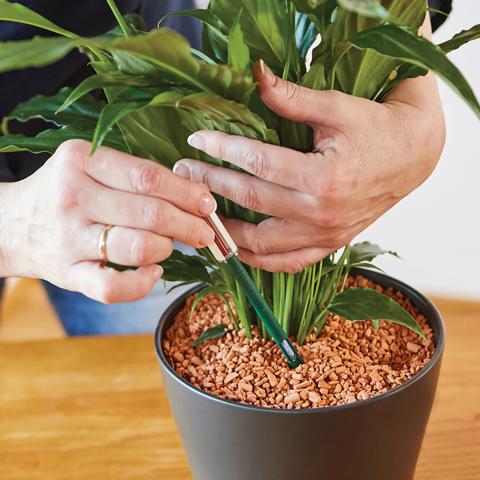 156945-5-pt05 GIEßANZEIGER GROß 2ST.