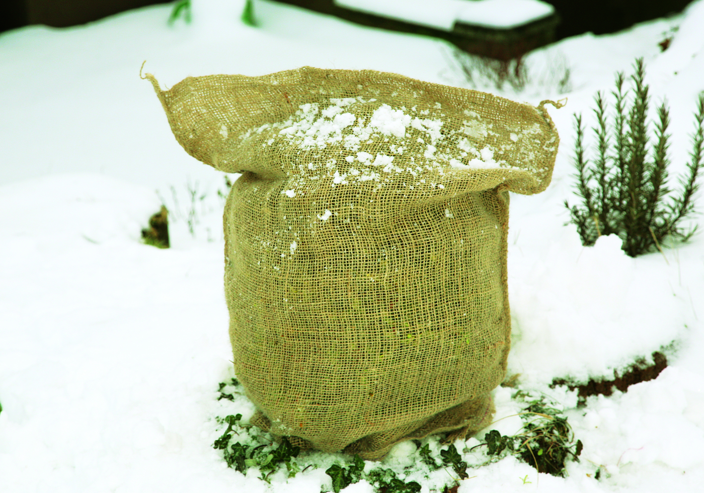 Floraworld Gartensack jute, natur, 40 x 60 cm Floraworld Gartensack jute, natur, 40 x 60 cm