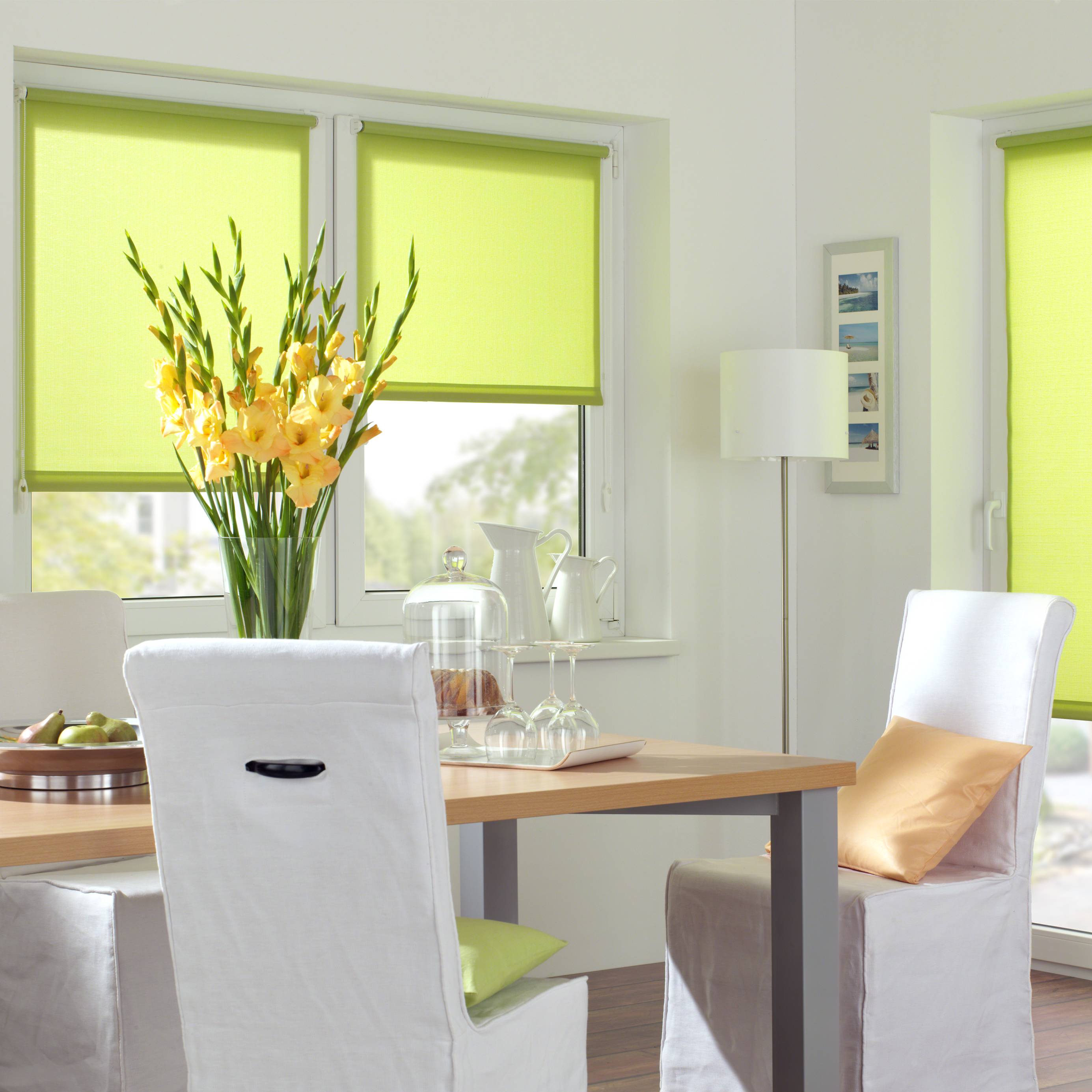 583965_05 GARDINIA EASYFIX ROLLO APFEL 90X210CM