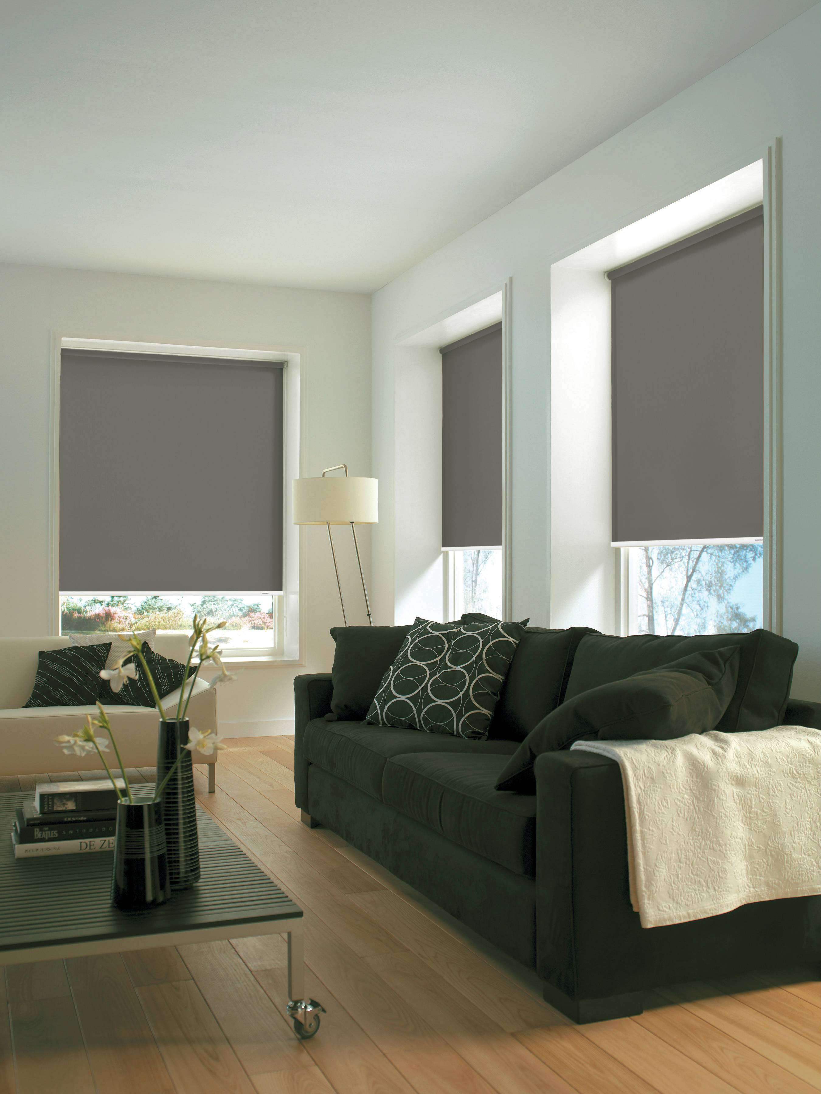 479271_06 GARDINIA SEITENZUG -ROLLO FARB.820 92X180