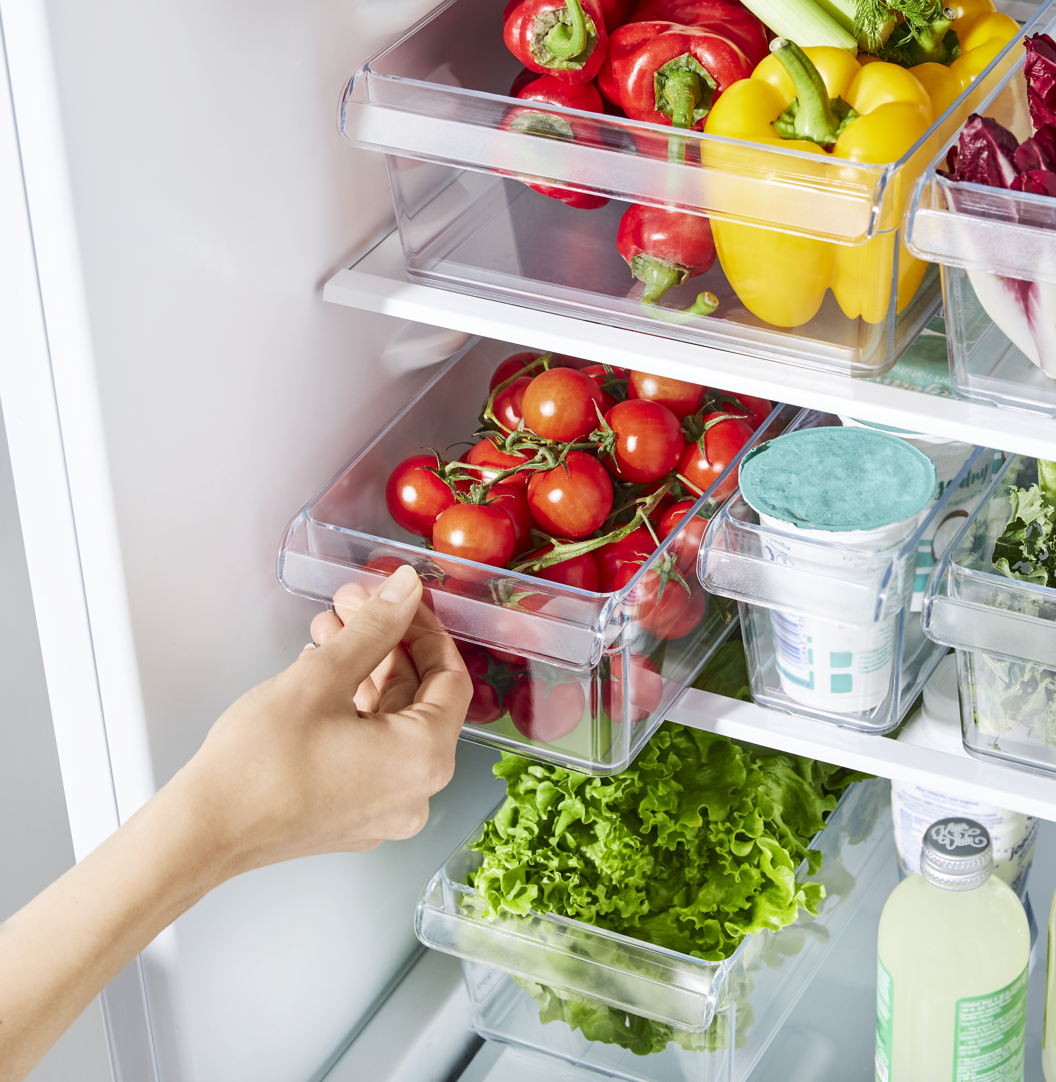 Rotho Kühlschrankorganizer 1.6 l, S LOFT