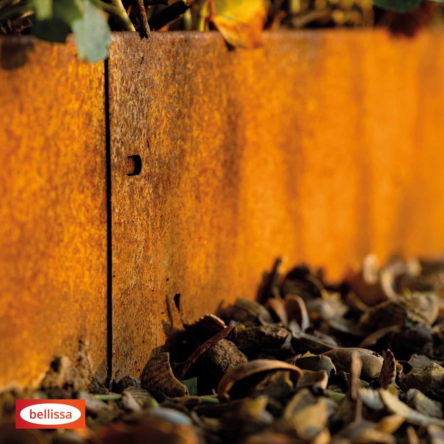 Bellissa Rasenkante Corten 20 Bellissa Rasenkante Corten 20