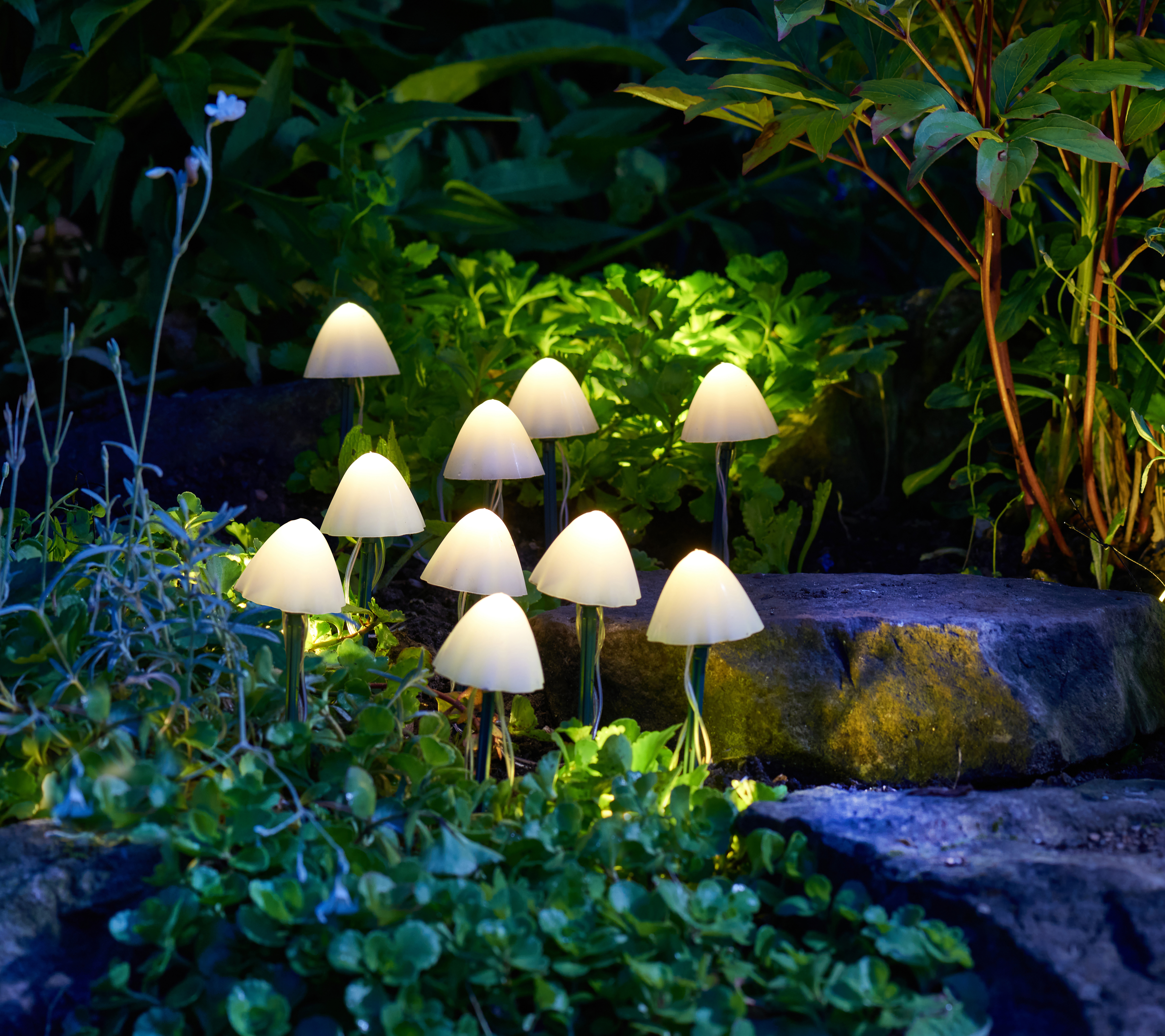 Smart Solar Solarleuchte LumiShroom Smart Solar Solarleuchte LumiShroom