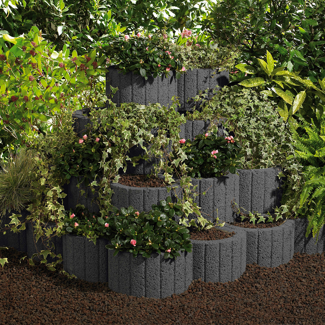 255303_Szene2 Kann Pflanzring klein