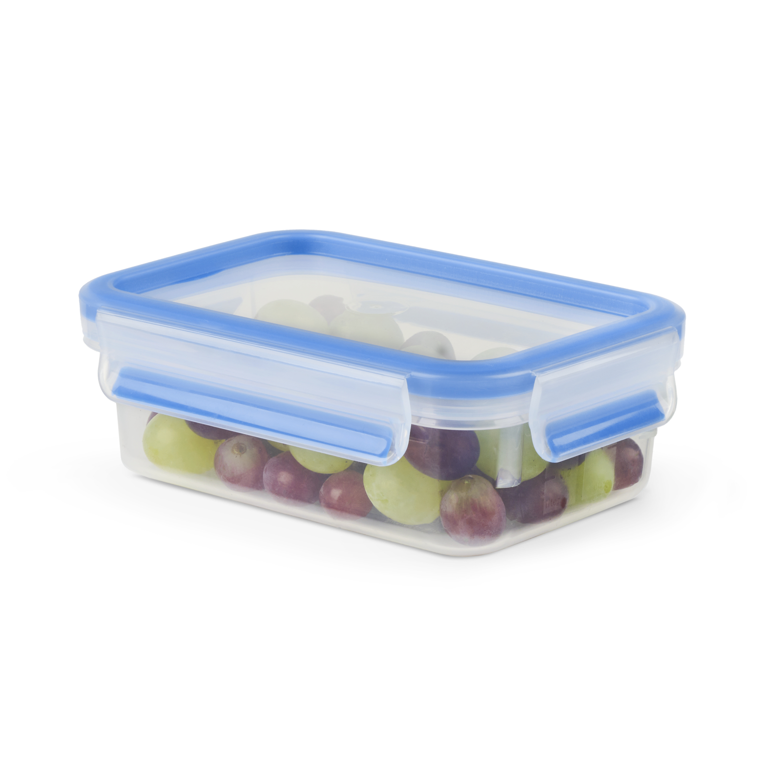 EMSA Clip & Close Frischhaltedose 0,55 L, rechteckig EMSA Clip & Close Frischhaltedose 0,55 L, rechteckig