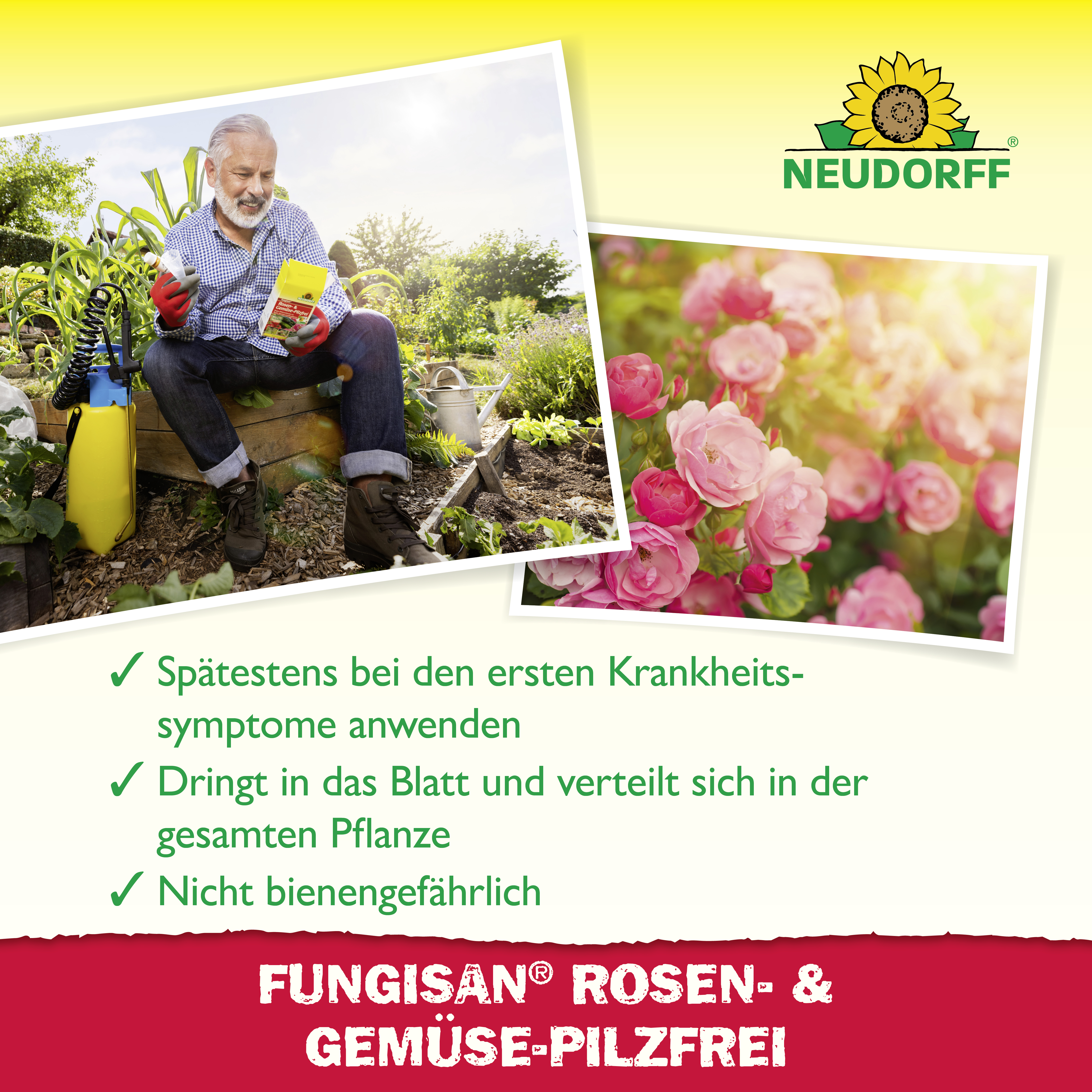 Neudorff Fungisan Rosen- und Gemüse-Pilzfrei, 16 ml