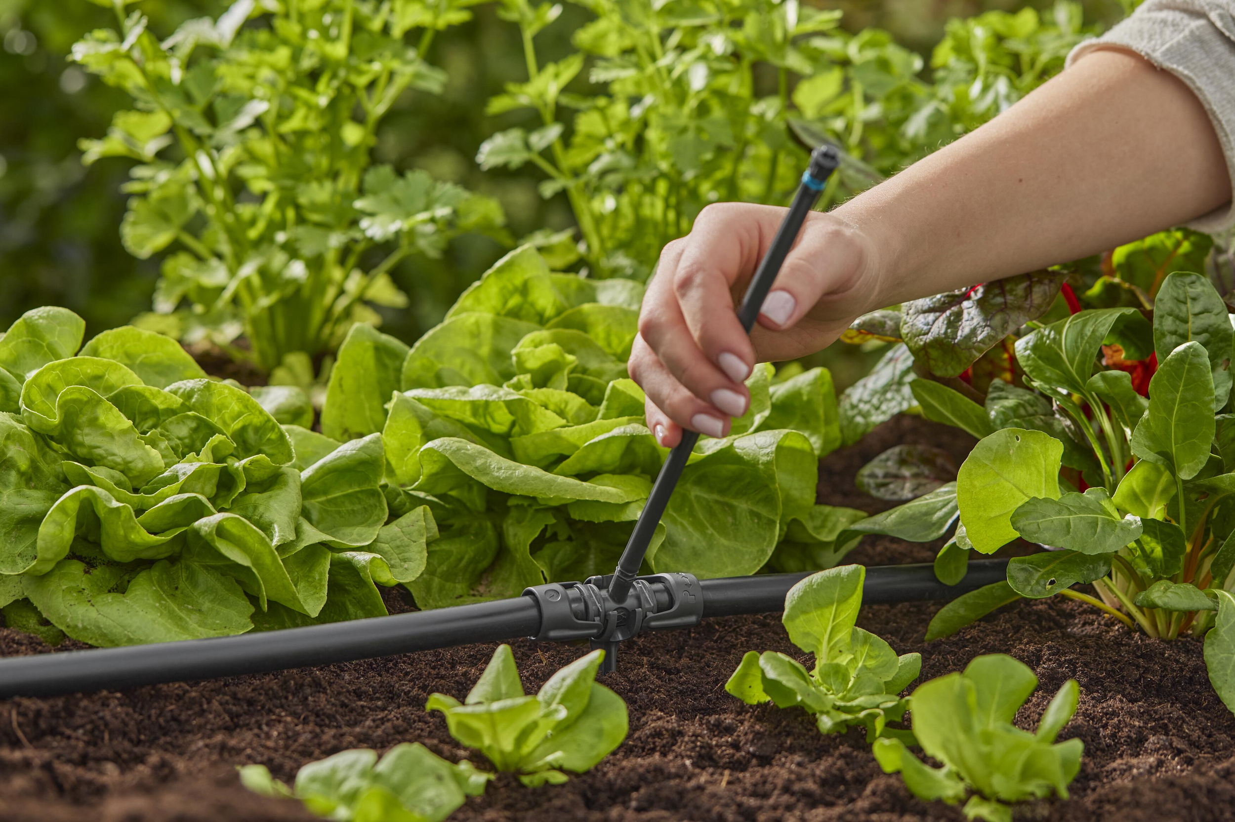 Gardena Micro-Drip-System T-Stück für Sprühdüsen 13 mm (1/2") - Inhalt: 5 Stück