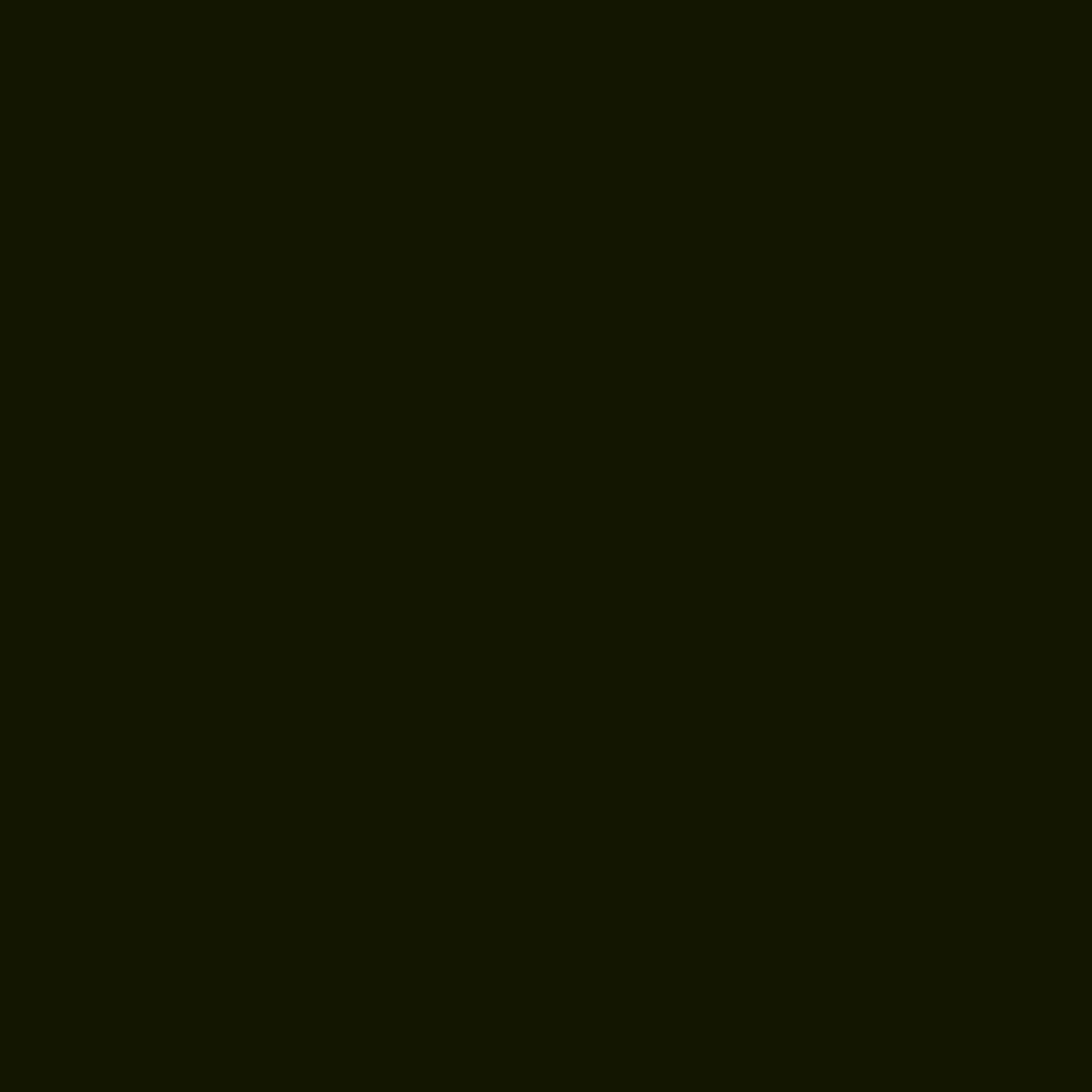 SchwarzCND4vPhomaWi0 Schöner Wohnen Mineral-Vollton- und Abtönfarbe, schwarz