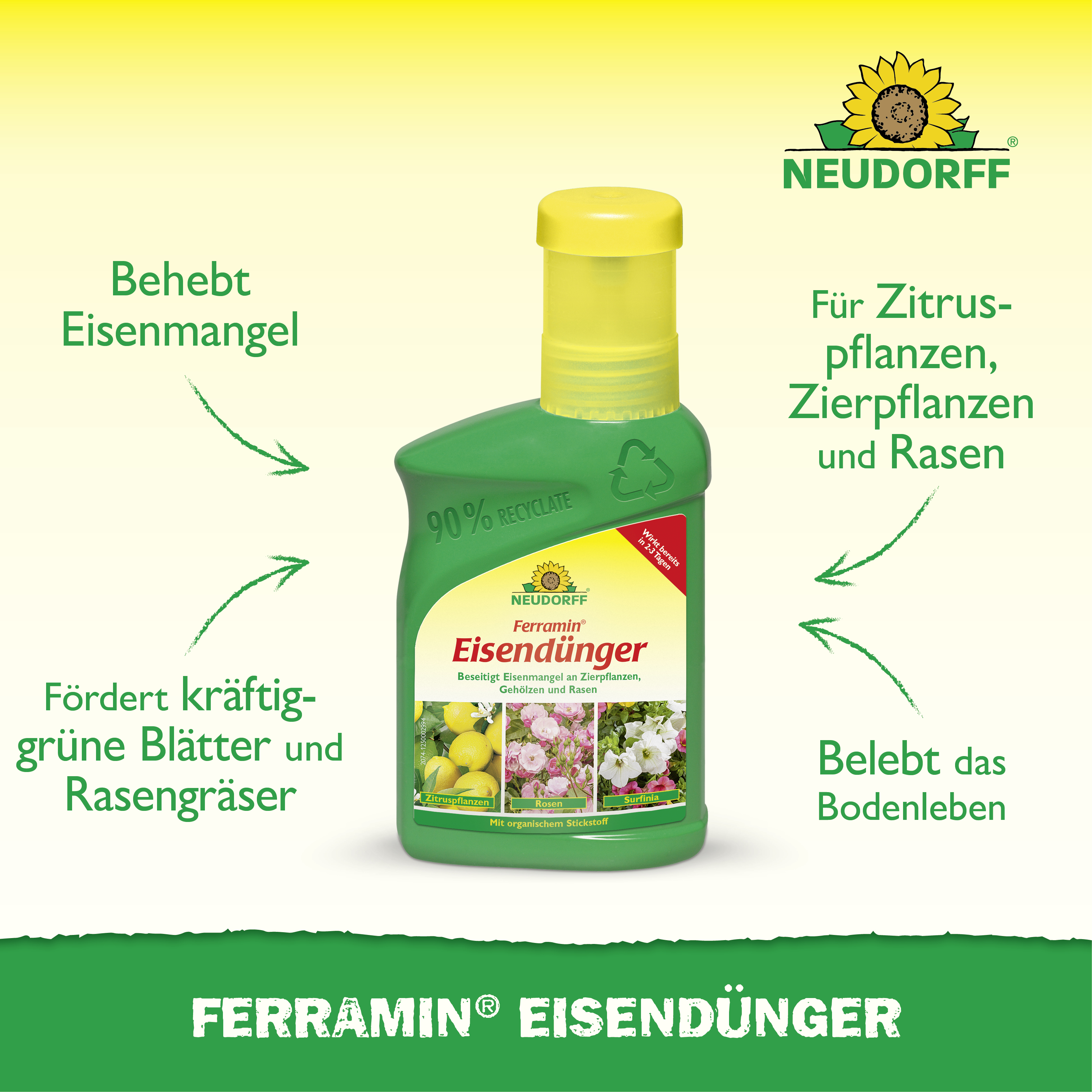Neudorff Ferramin Eisendünger