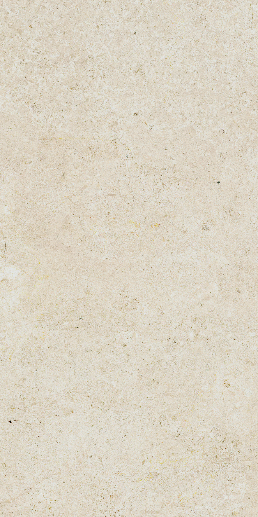 Lasselsberger Bodenfliese Lime beige, 30 x 60 cm