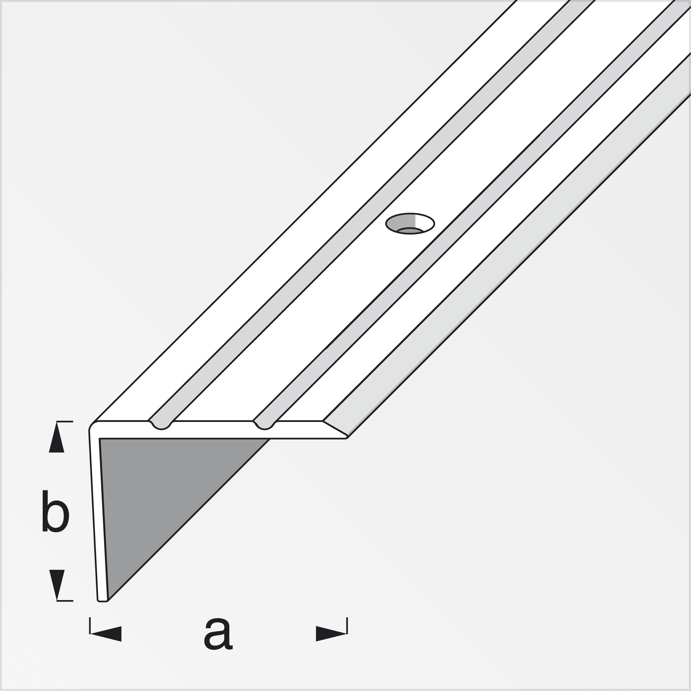 644438_Treppen-Profil-1 Alfer Treppen-Profil 25 x 20 mm, titan