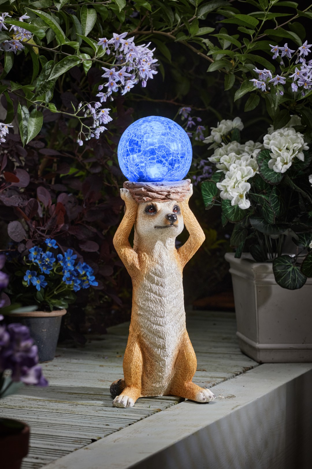 Smart Garden Mystik Meerkat