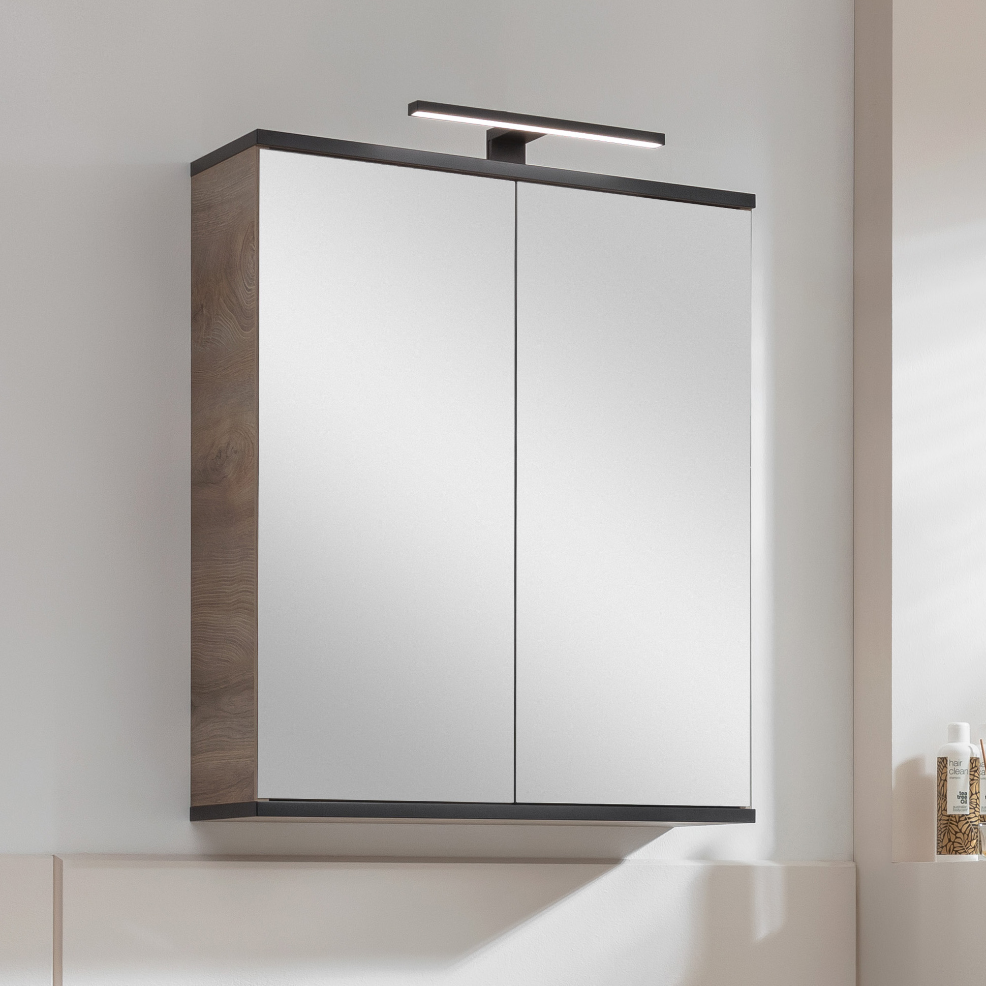 Fackelmann TE-A Spiegelschrank, 2 Türen